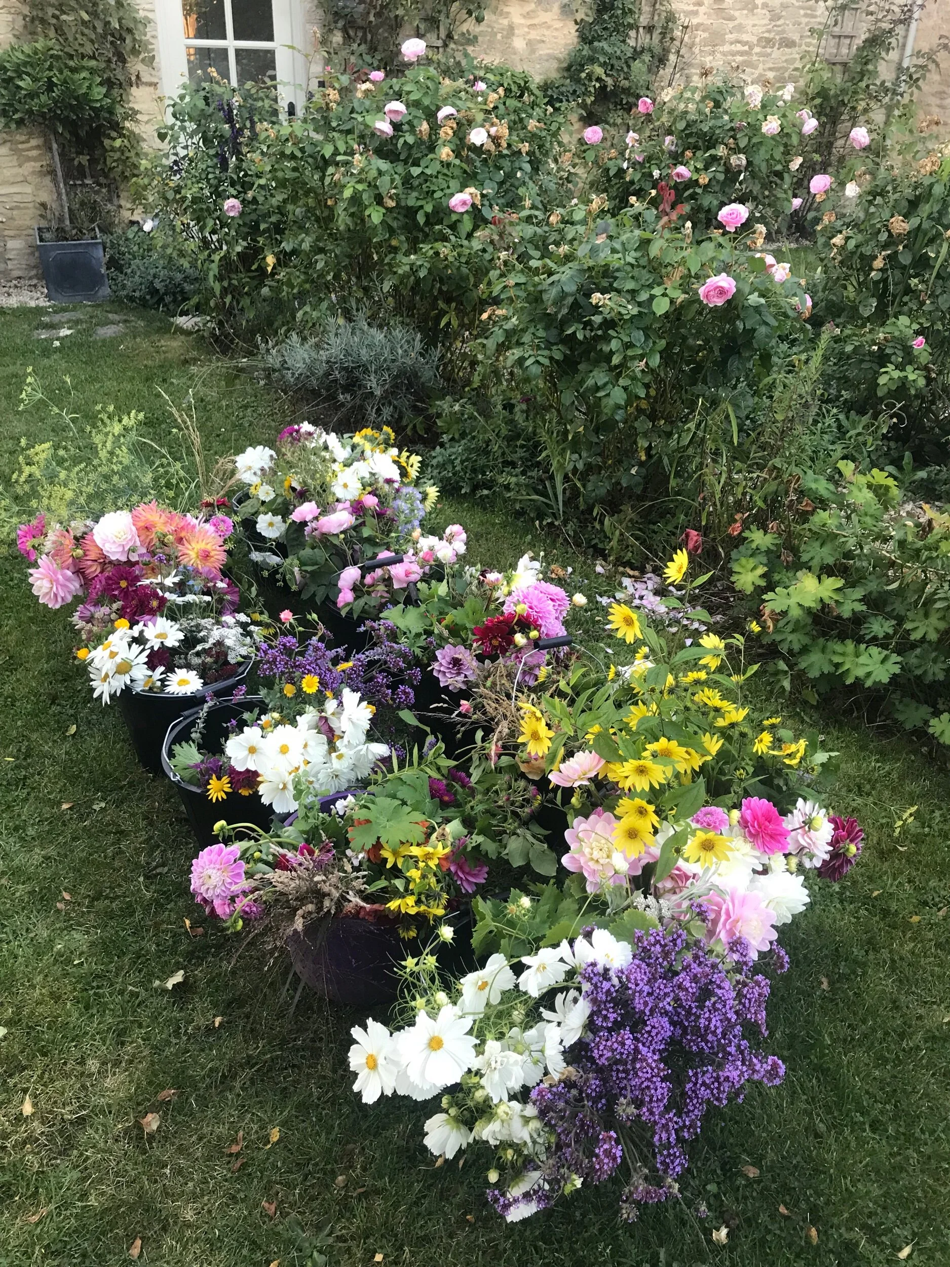 BB380933-65EF-460F-8BA8-3A9AB7E1E6CD