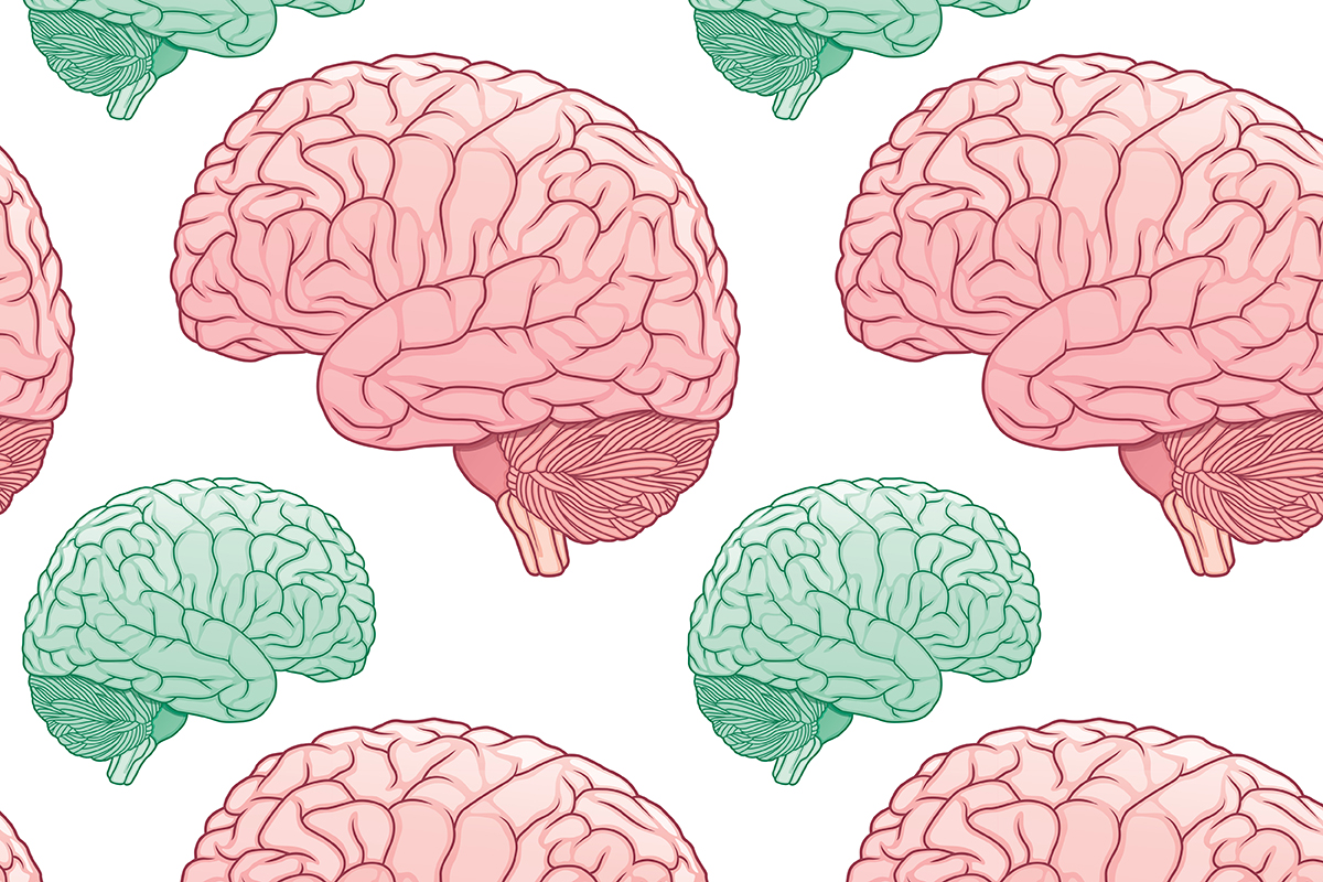 brain.jpg