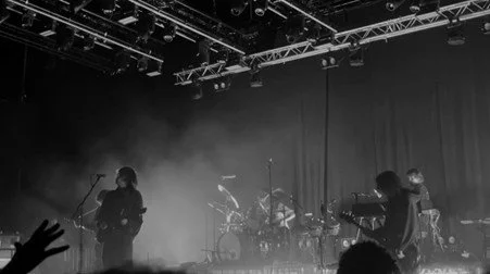 Geese Storm the Prospect Building