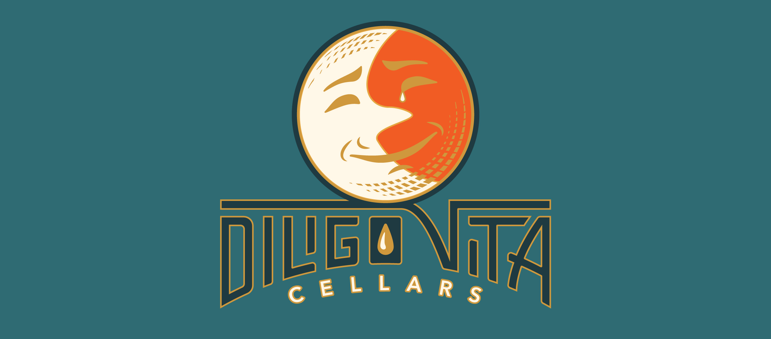 Diligo Vita Logo
