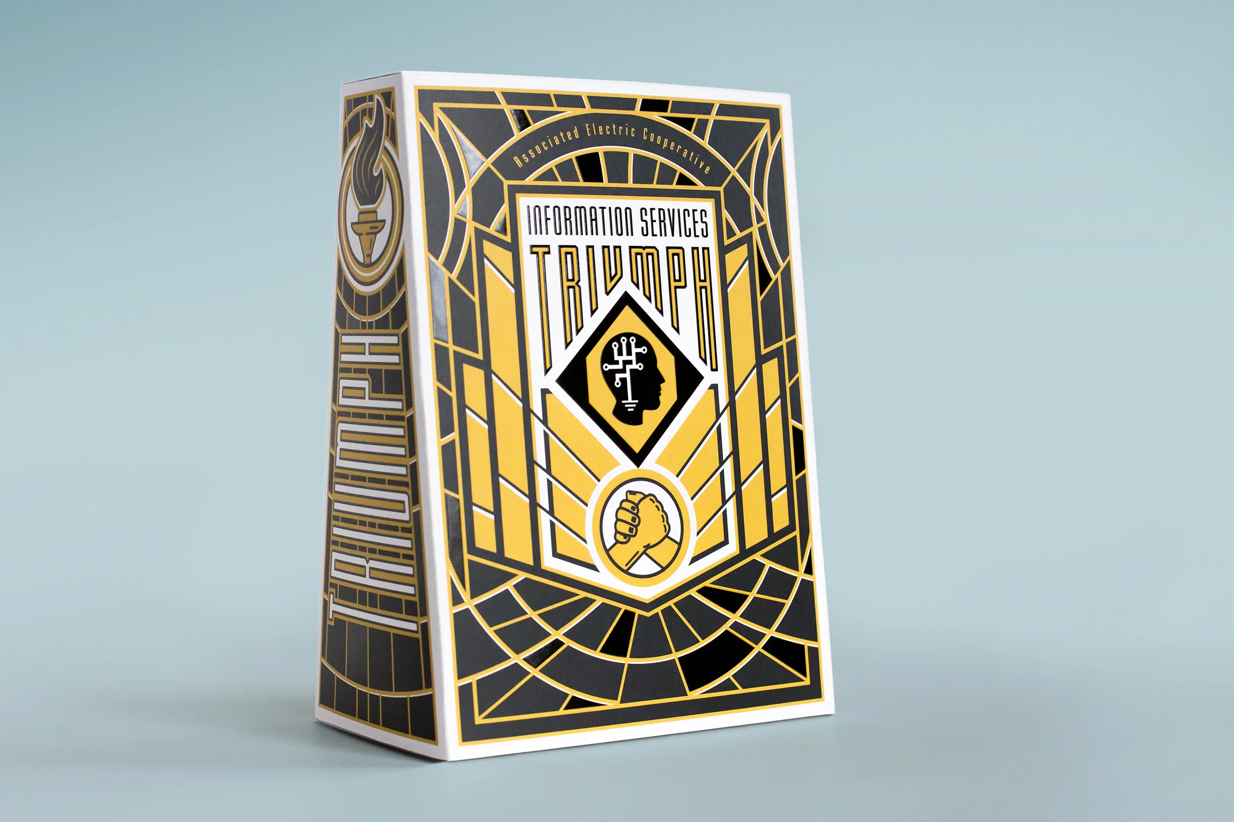 Triumph Award Packaging