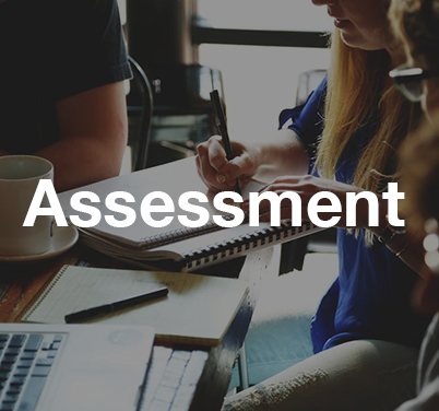 assessment.png