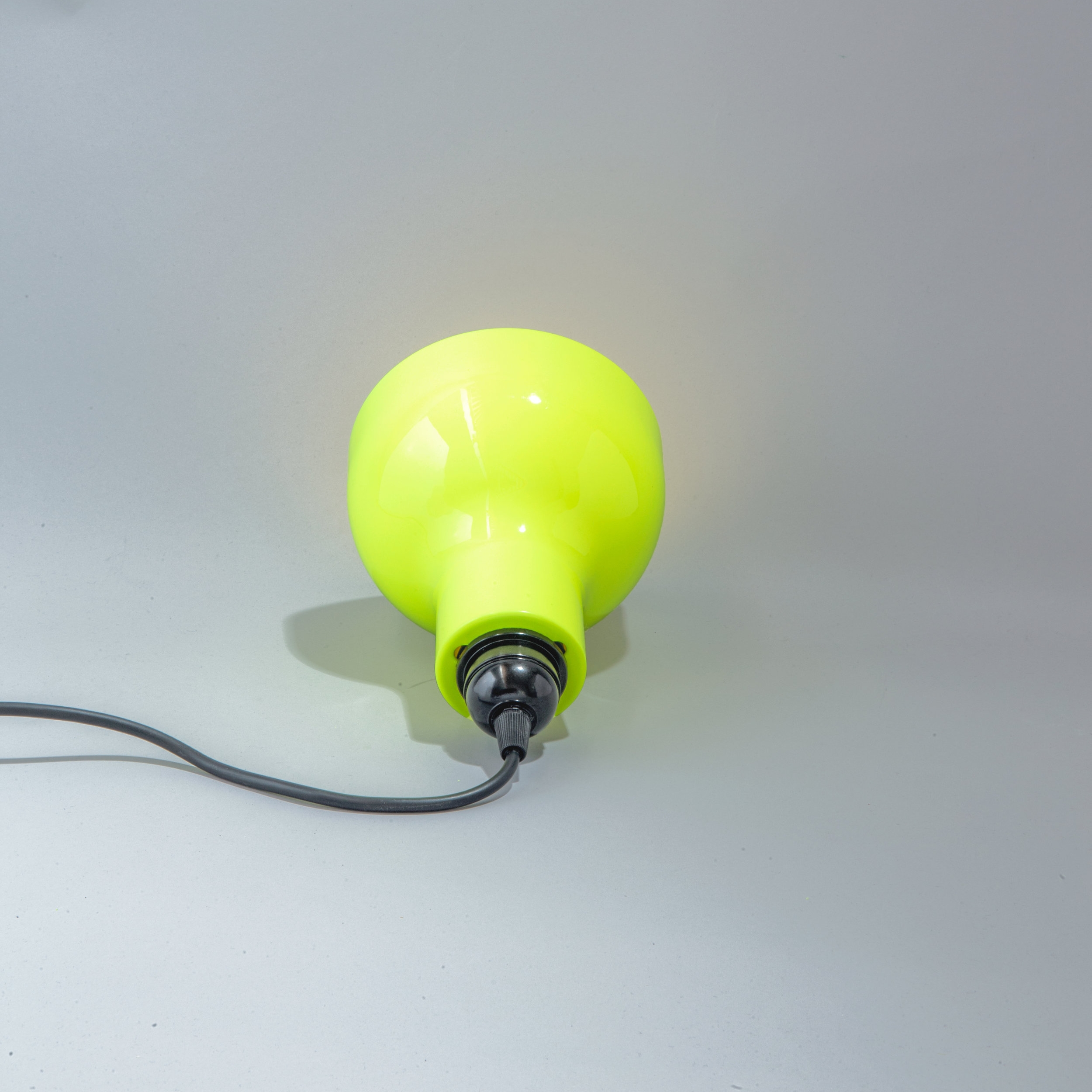 roly_roscoe_neon_back1DX_0063.jpg
