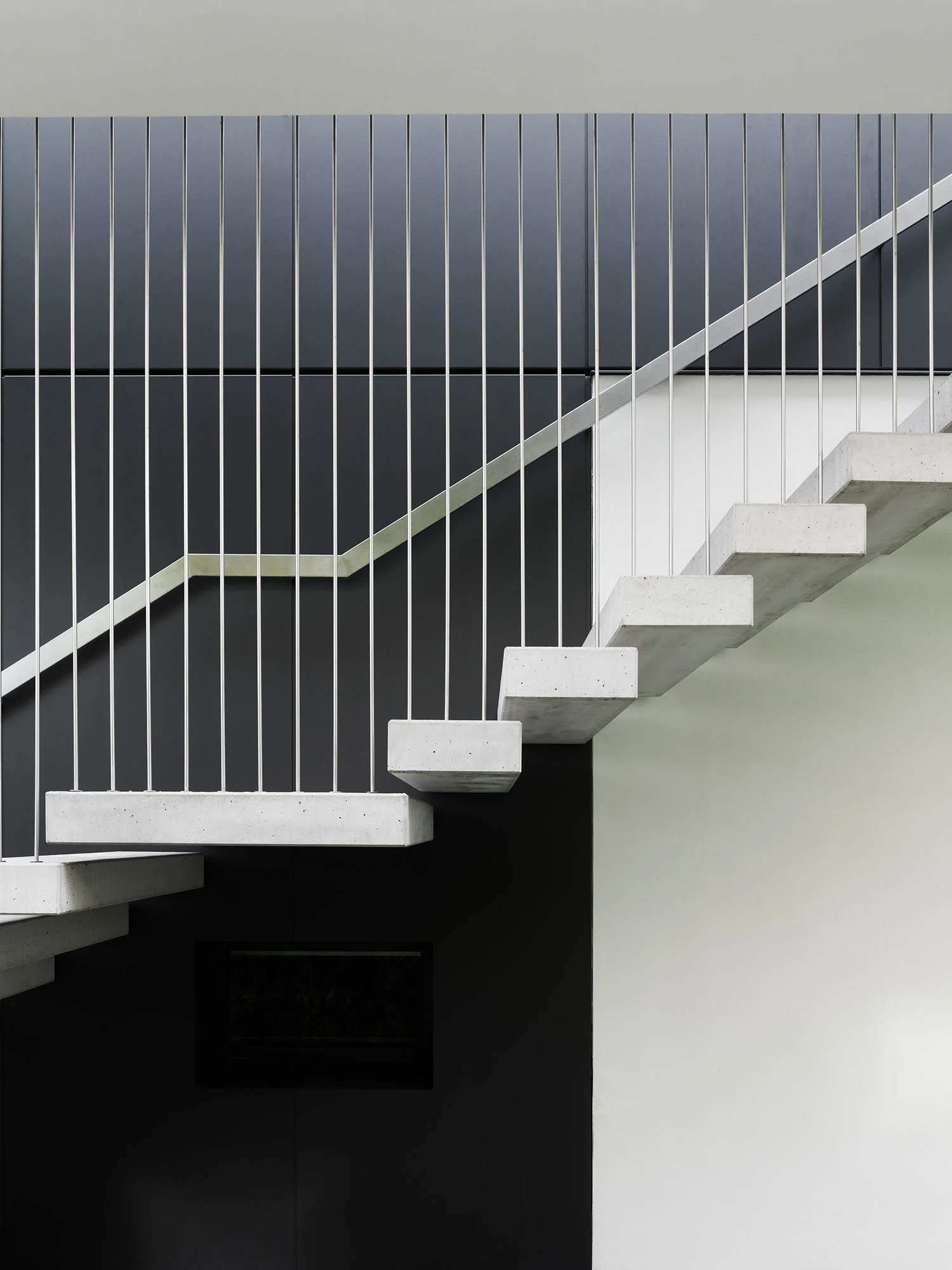 03-wohnhaus-ginkgo-behet-bondzio-lin-architekten.jpg