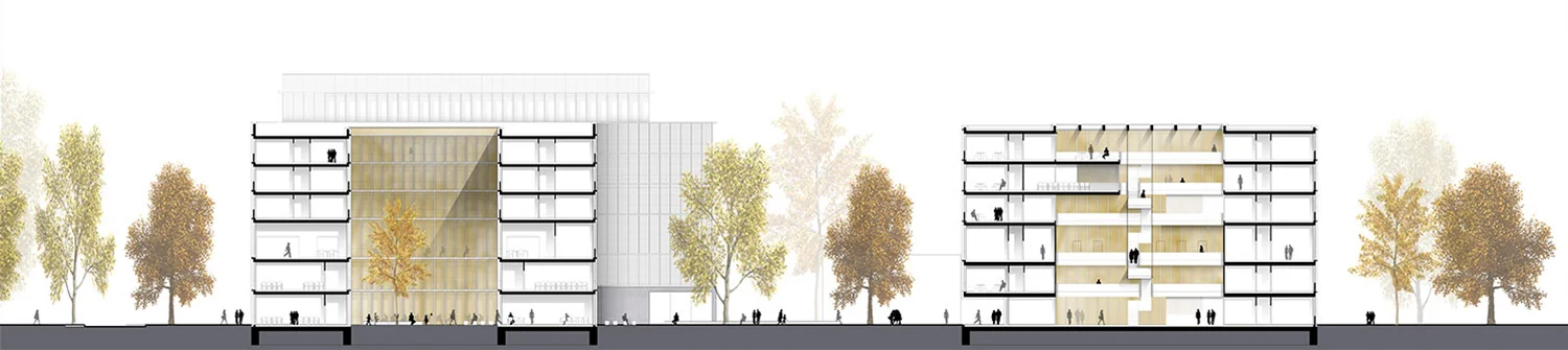 09-mathe-imos-berlin-behet-bondzio-lin-architekten.jpg
