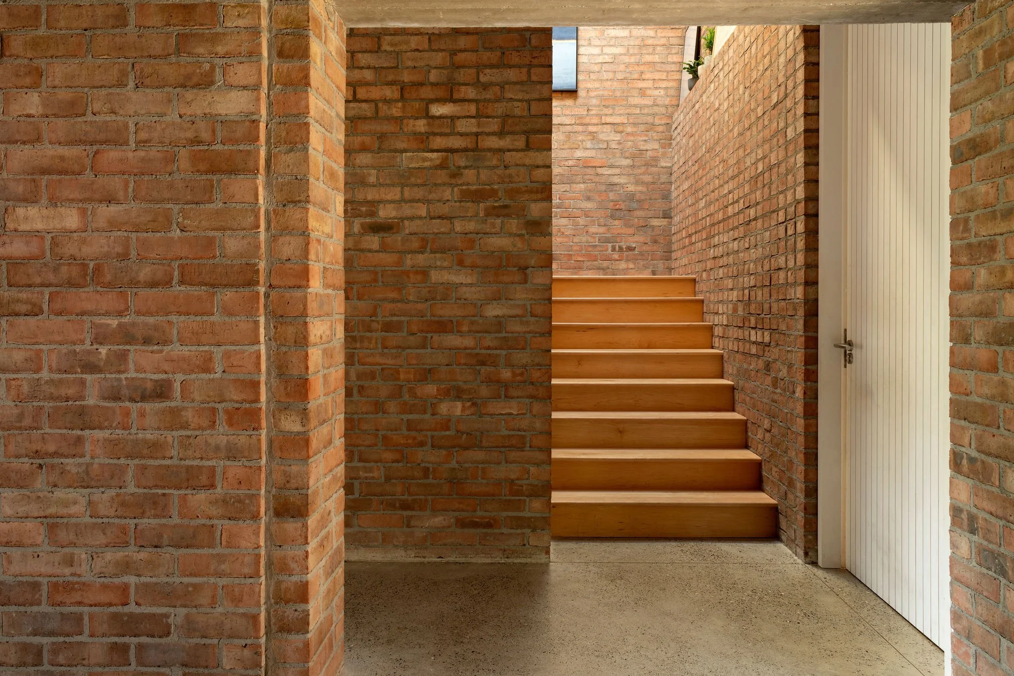 Interior view of a staircase with wooden steps, brick walls, a door on the right, and a small opening with plants visible at the top of the stairs.