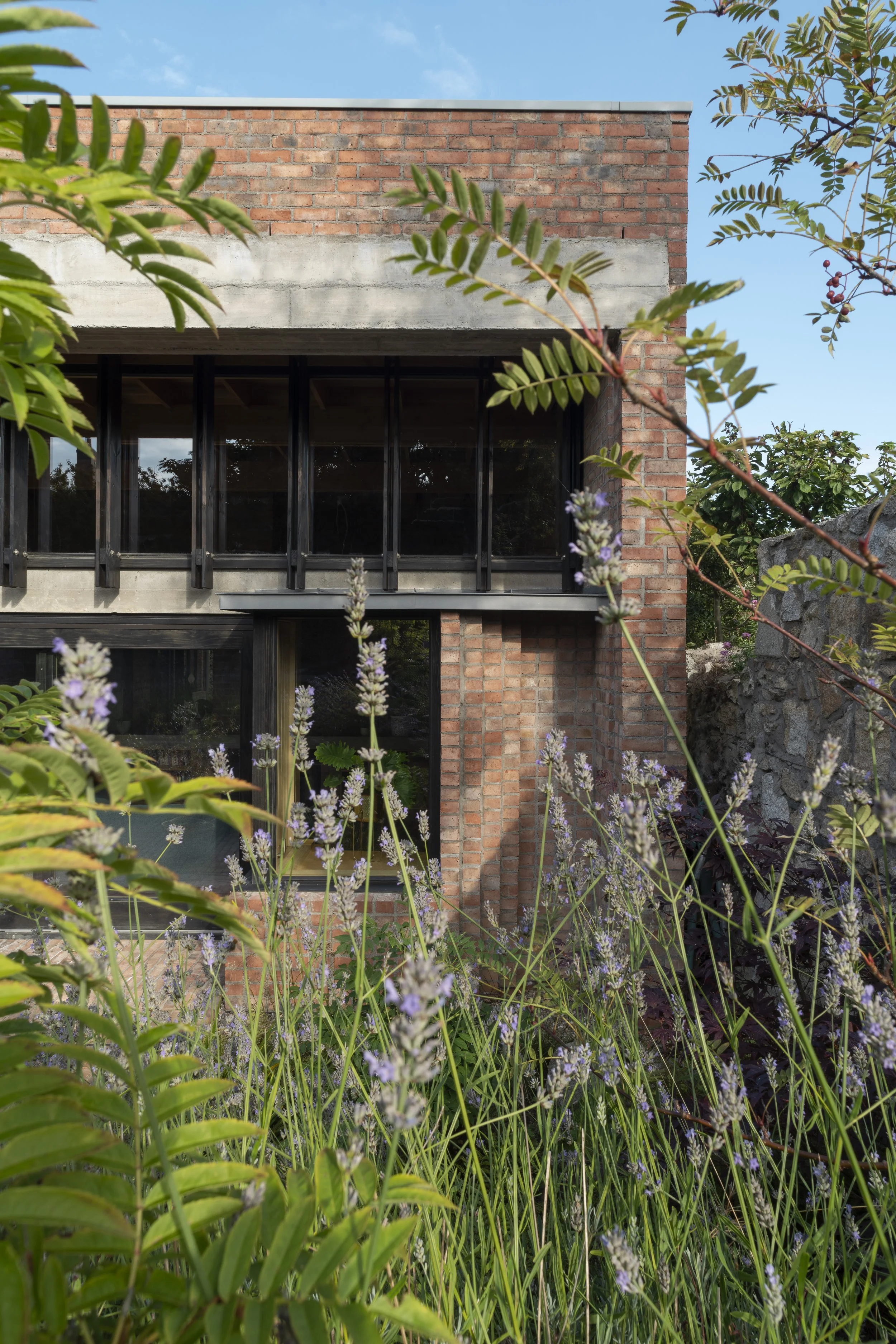 A modern brick house with large windows surrounded by lush green plants and purple flowers in the foreground, with a clear blue sky in the background.