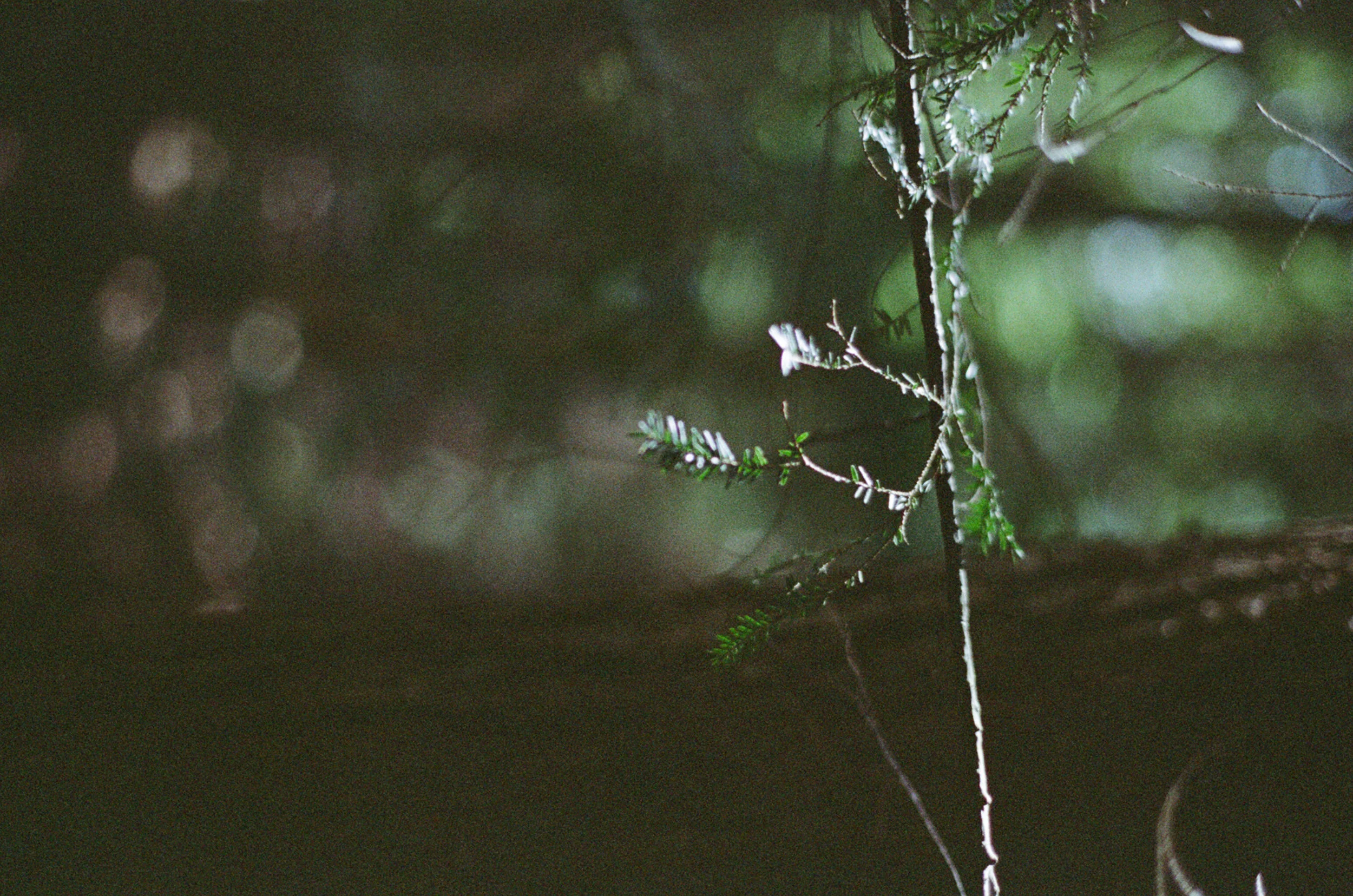  Cabin  Little Hawk Lake near Algounquin National Park, Ontario  ------  2017 