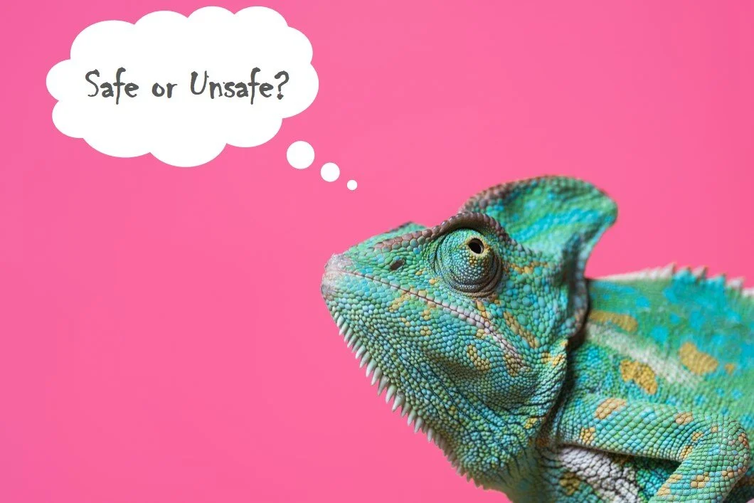 Penalties, Safety and the Reptile Brain