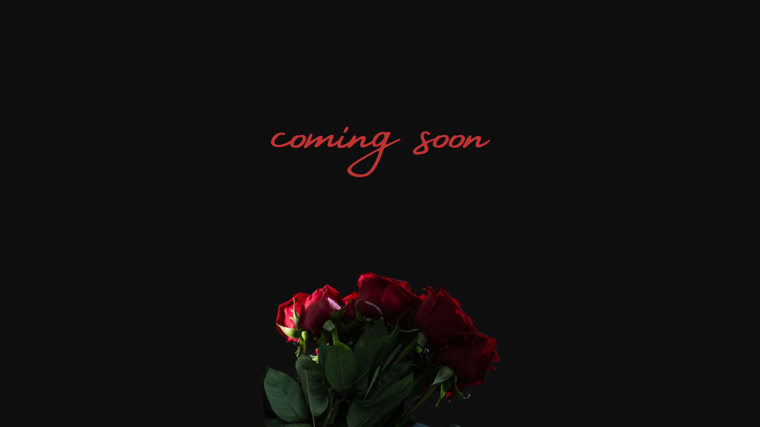 APROPOS web (11).png