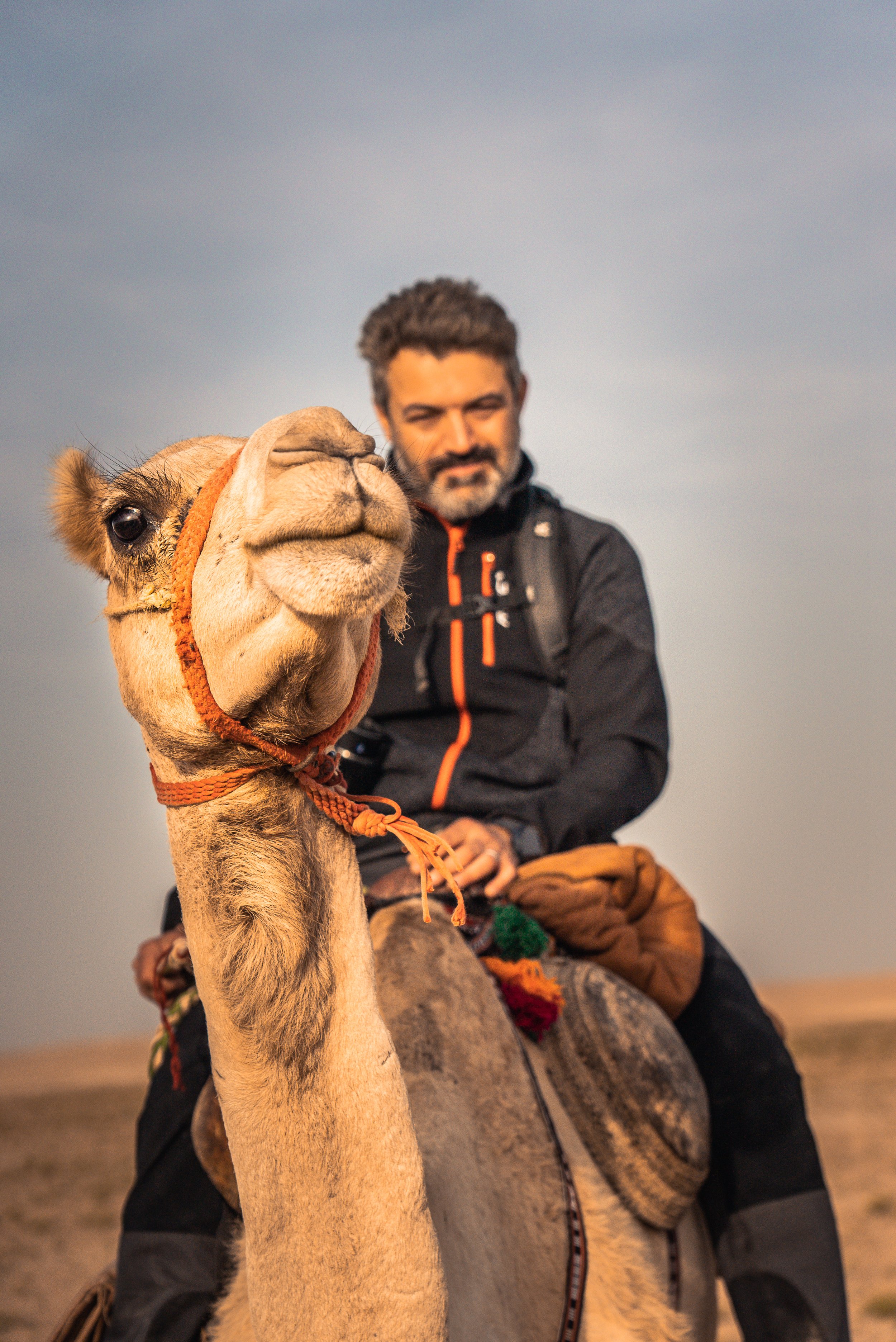 Oman Reza camel 13.jpg