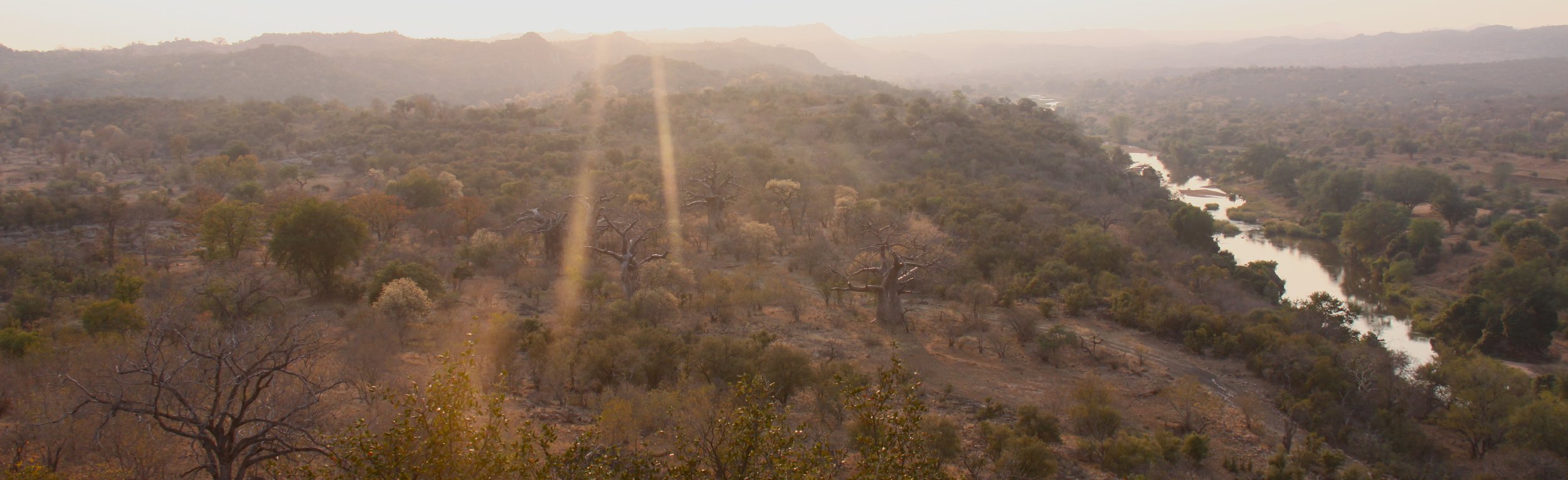 africa yoga &amp; safari retreat *fully booked, please enquire for waitlist