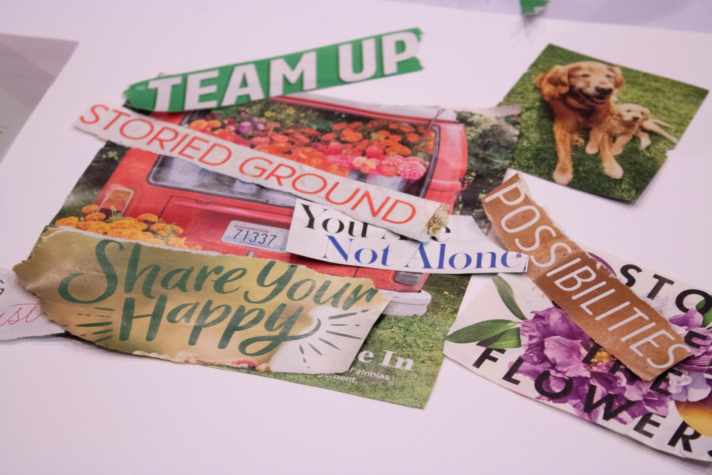 A vision board in progress.