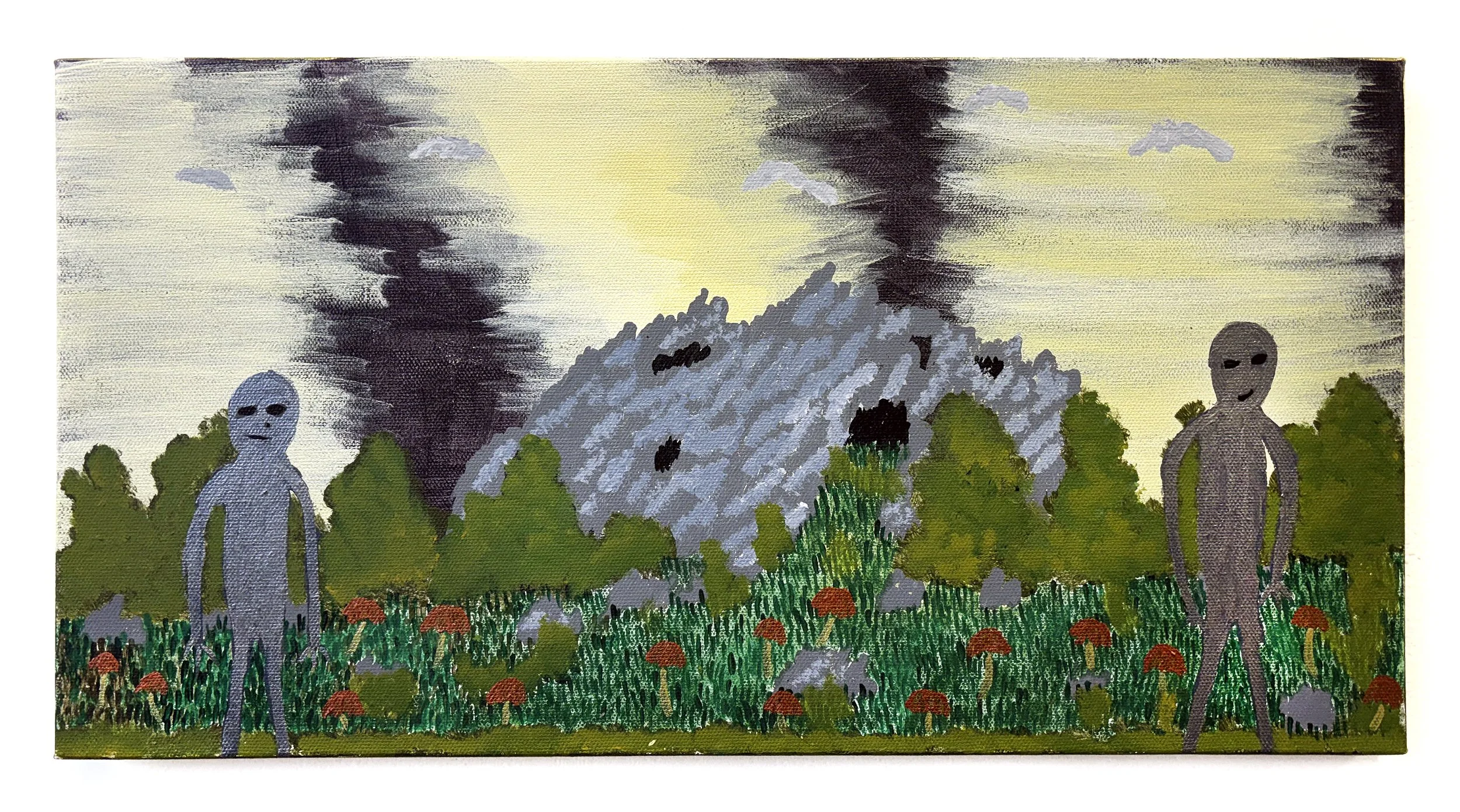 Mushroom Mountain.jpg