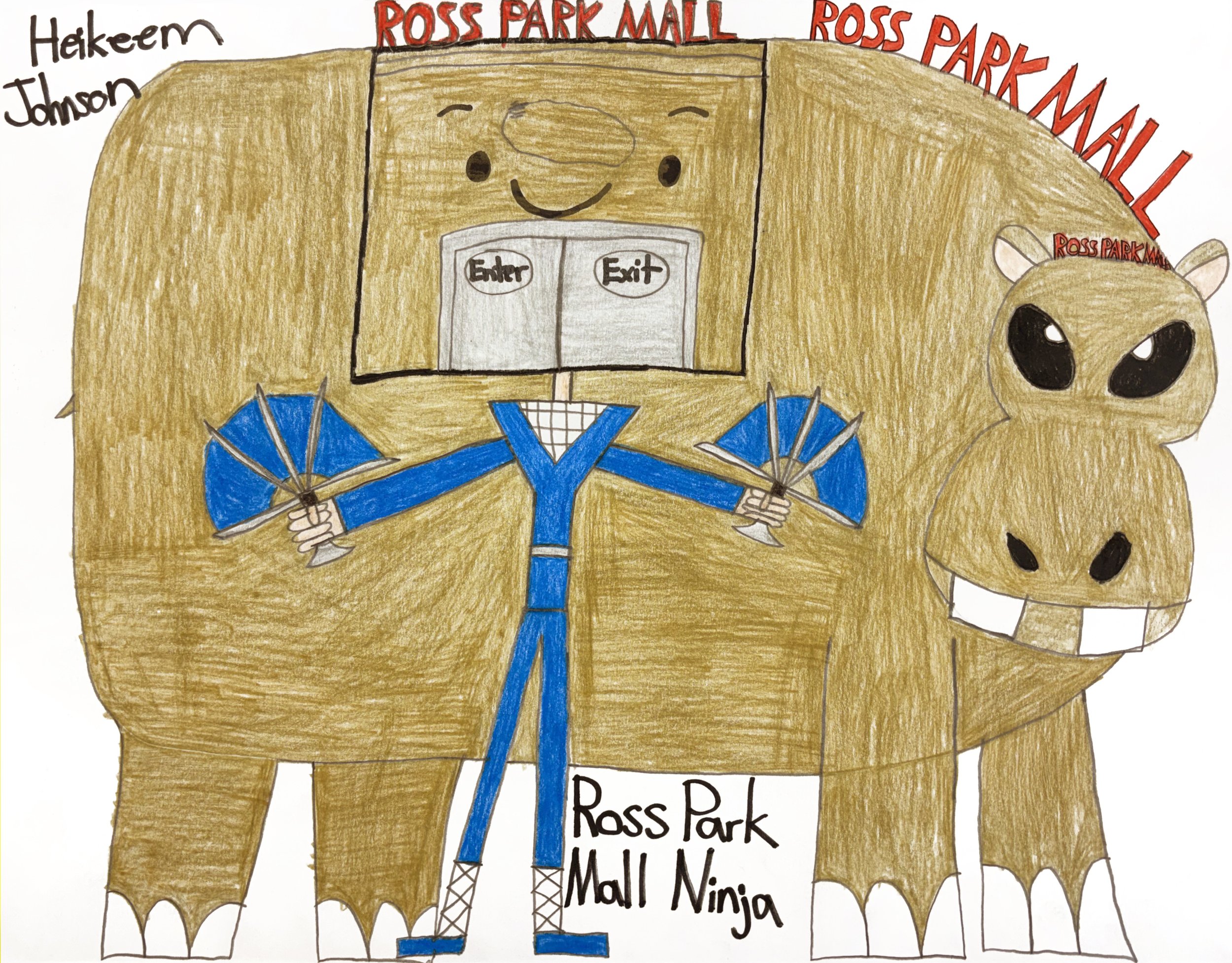 Ross Park Mall Ninja.jpg