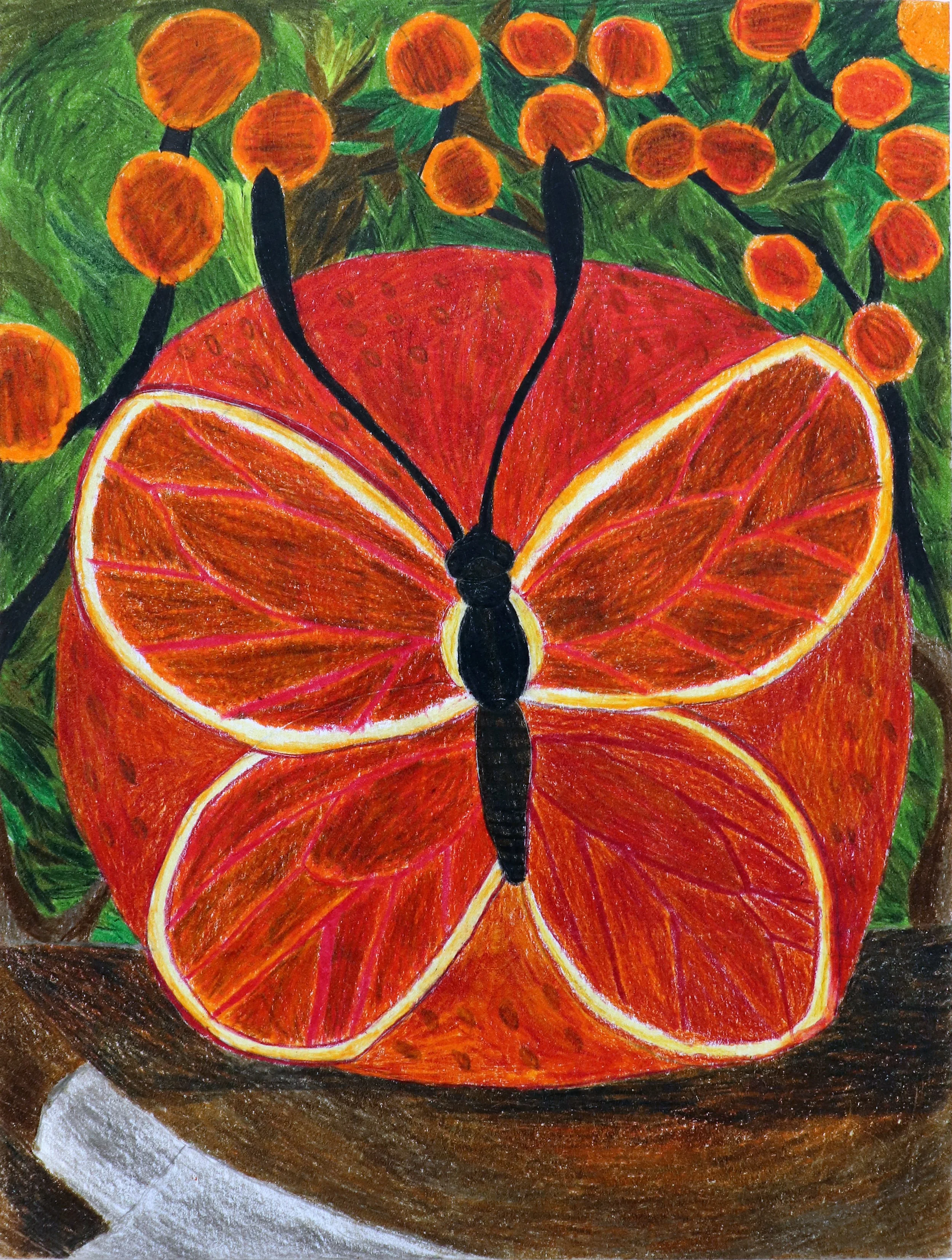 Orange Butterfly.jpg