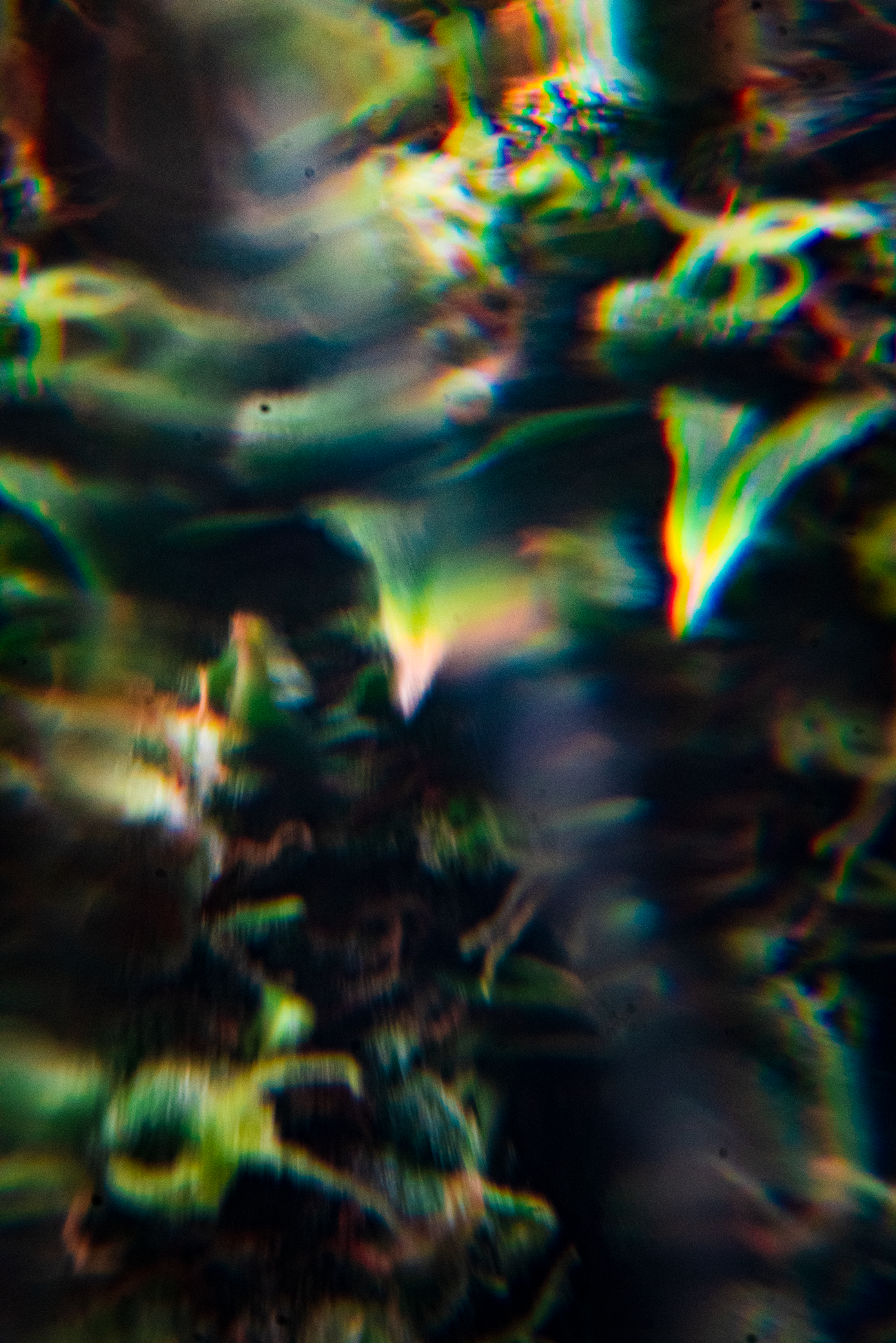 DSC03557.png