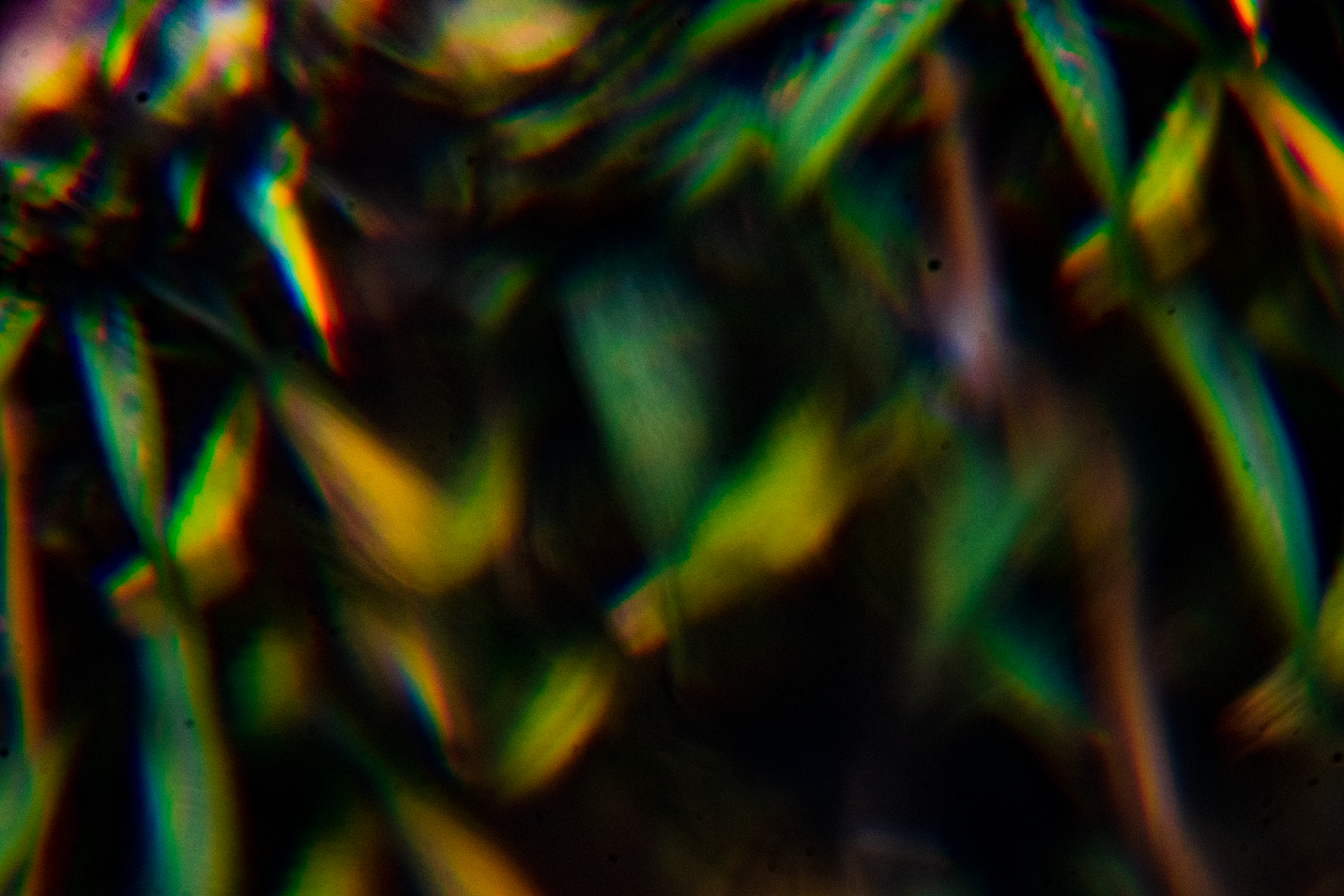 DSC03563.png