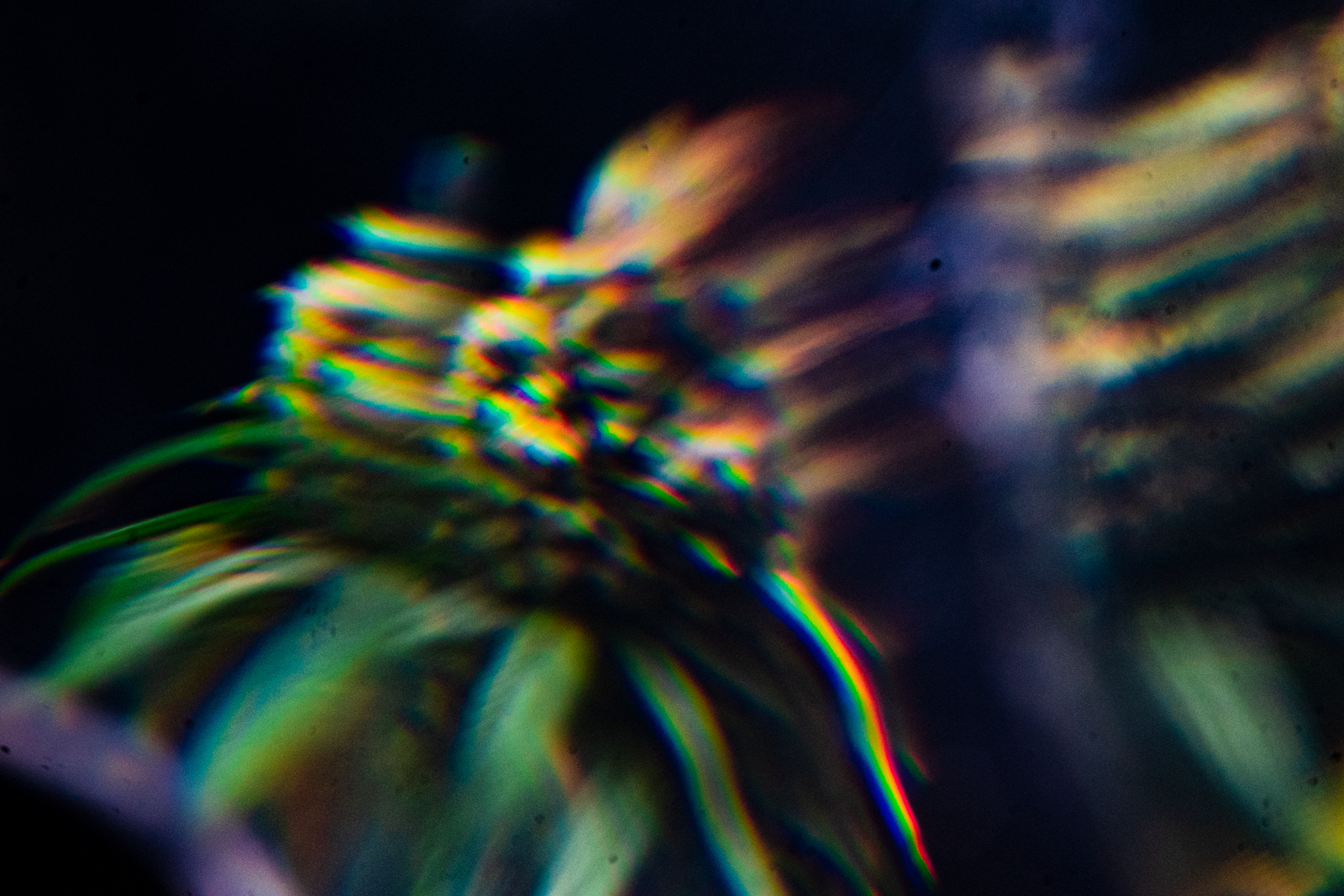 DSC03566.png