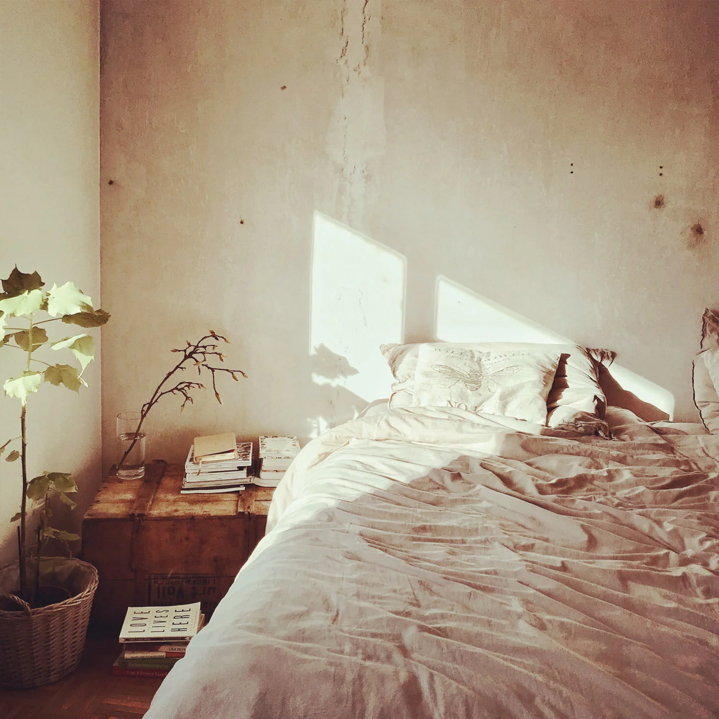 Attract the love of your life with feng shui