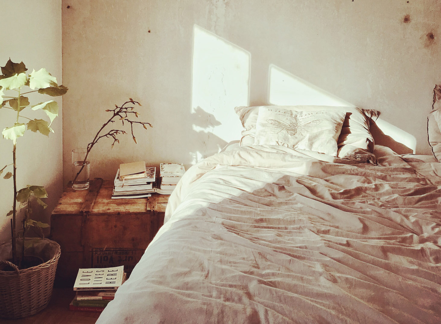 photo by Nine Köpfer