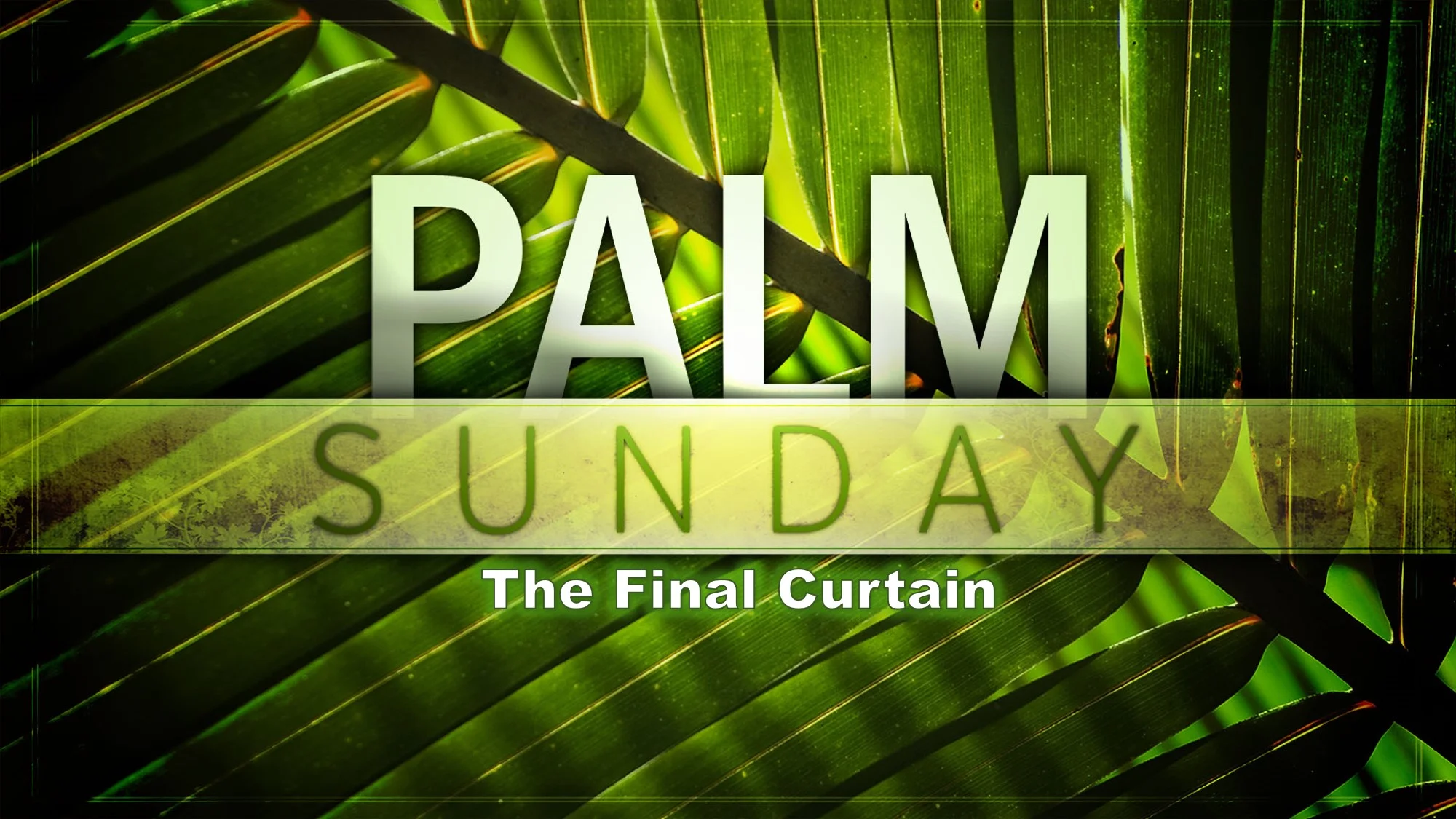 Palm Sunday 2019:  The Final Curtain - Luke 19:28-48