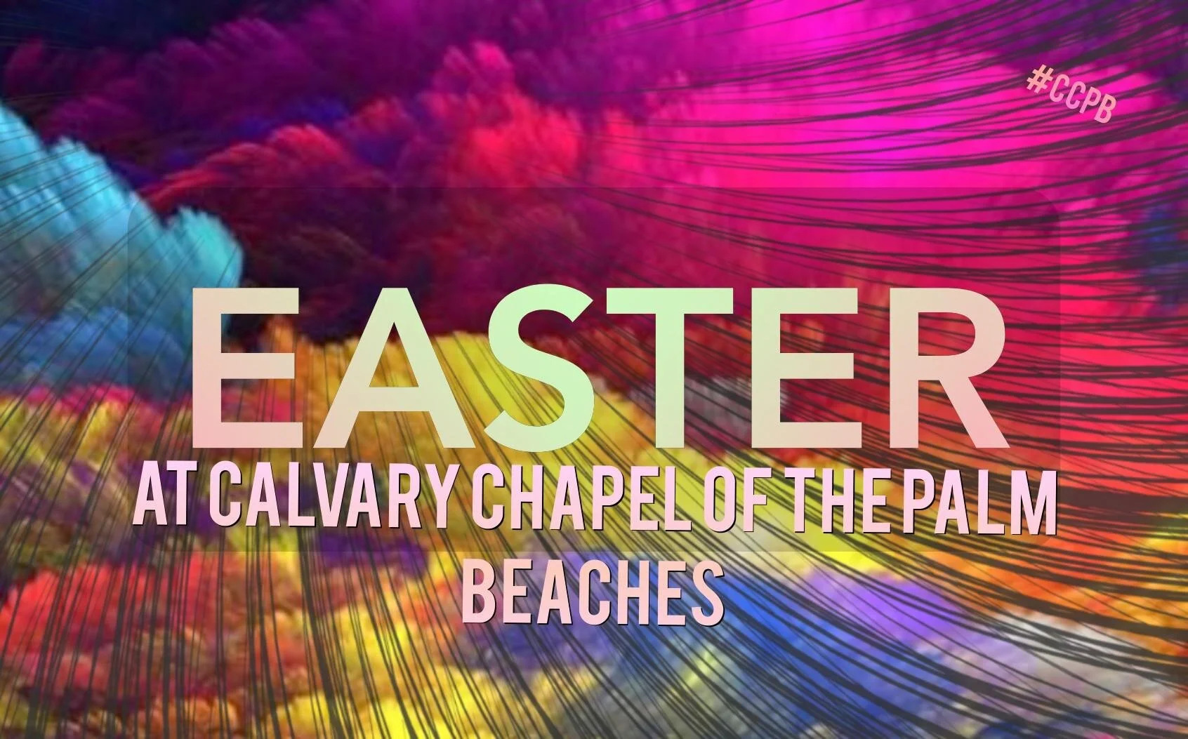 Easter Sunday 2020: Worth The Search