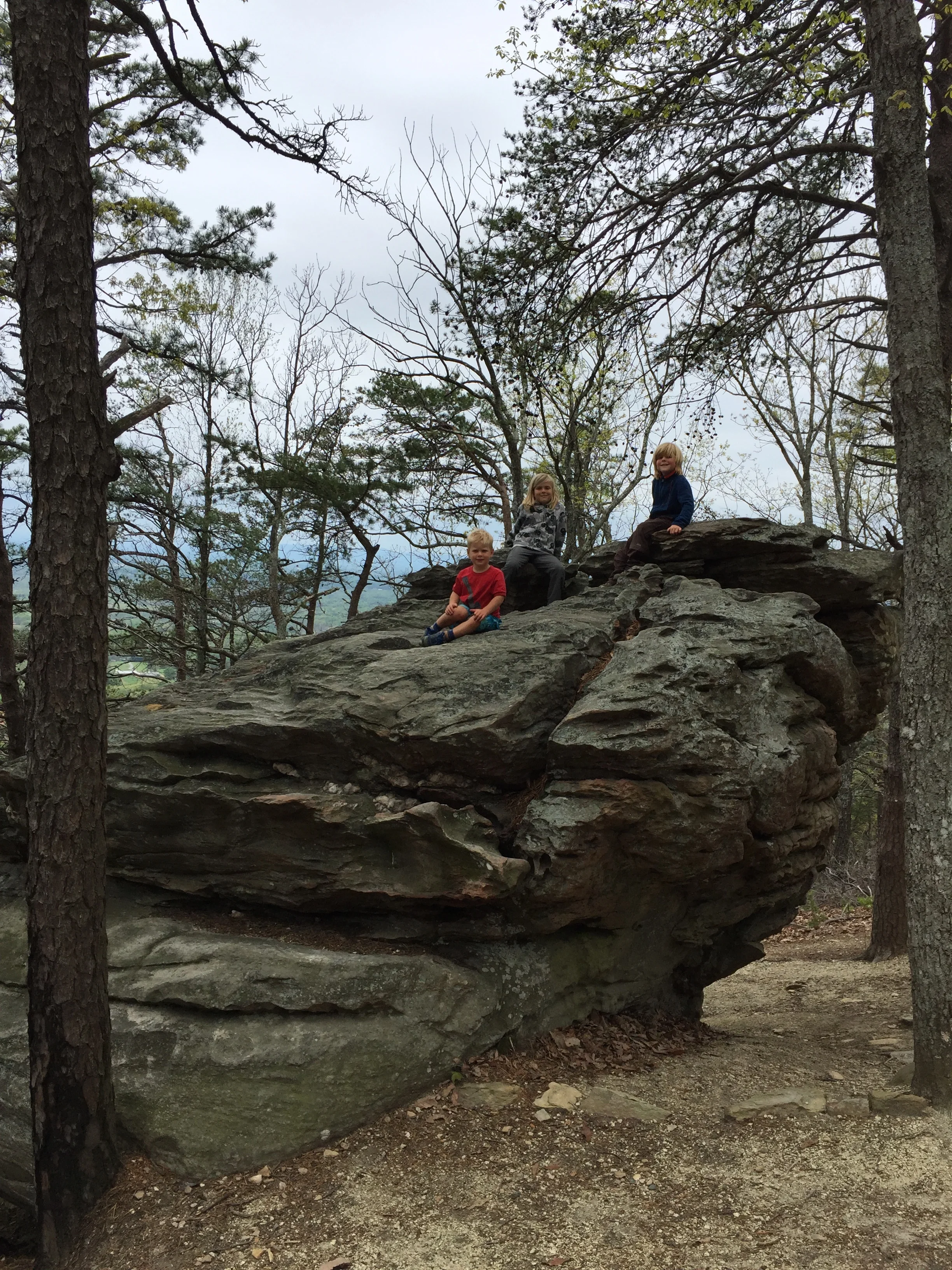 Big Rock.JPG