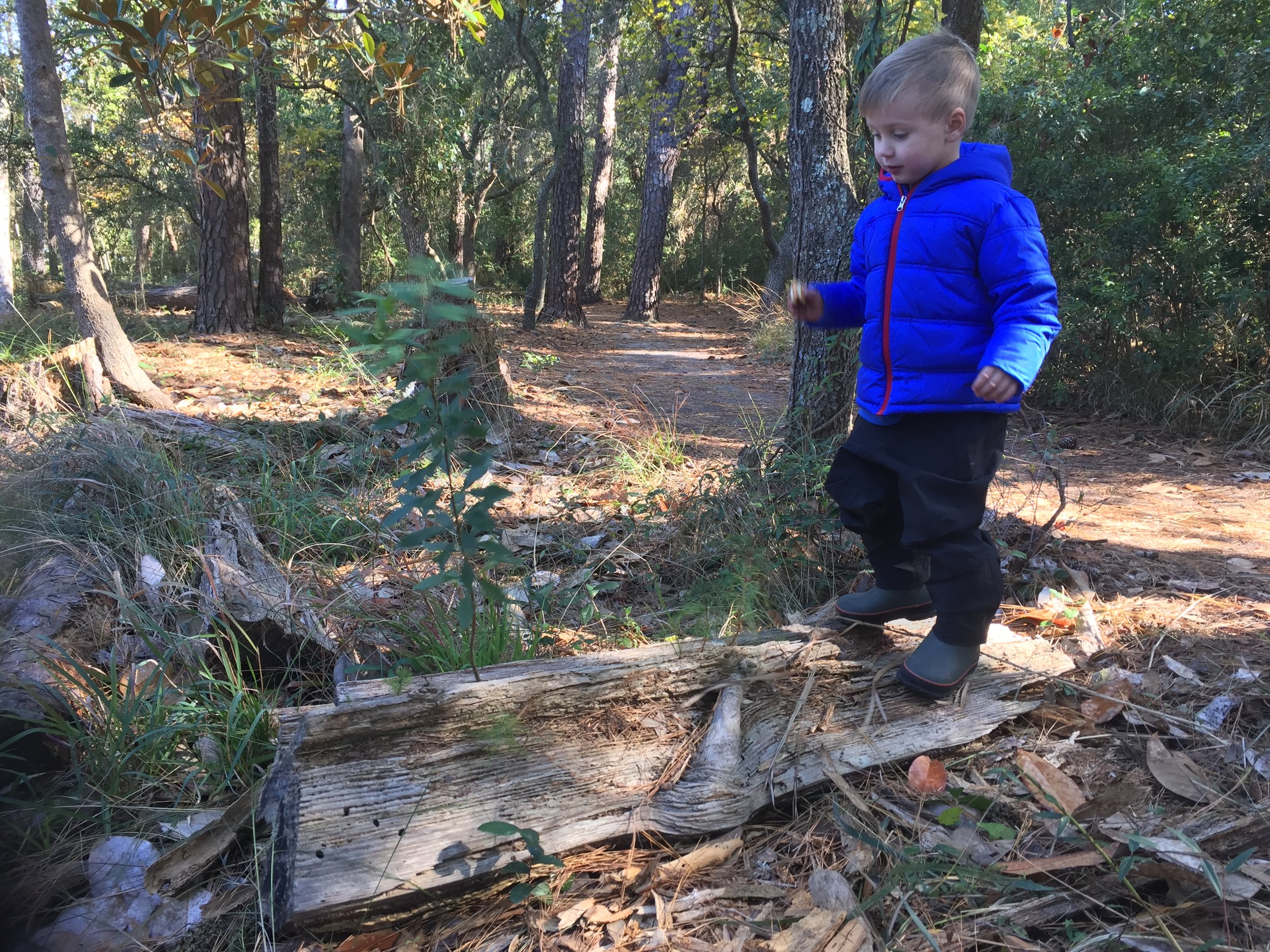 Balancing on the rocking log.