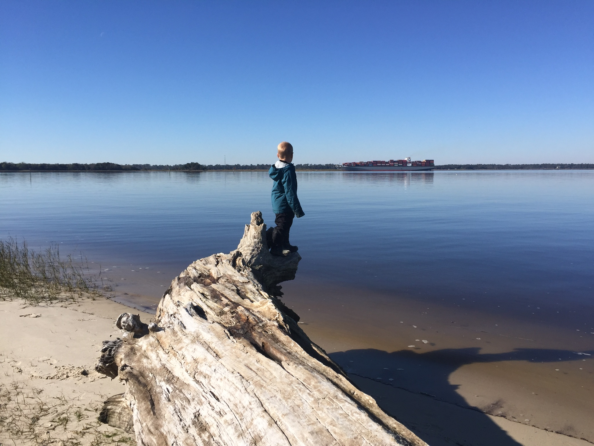 Watching a cargo ship come into port.