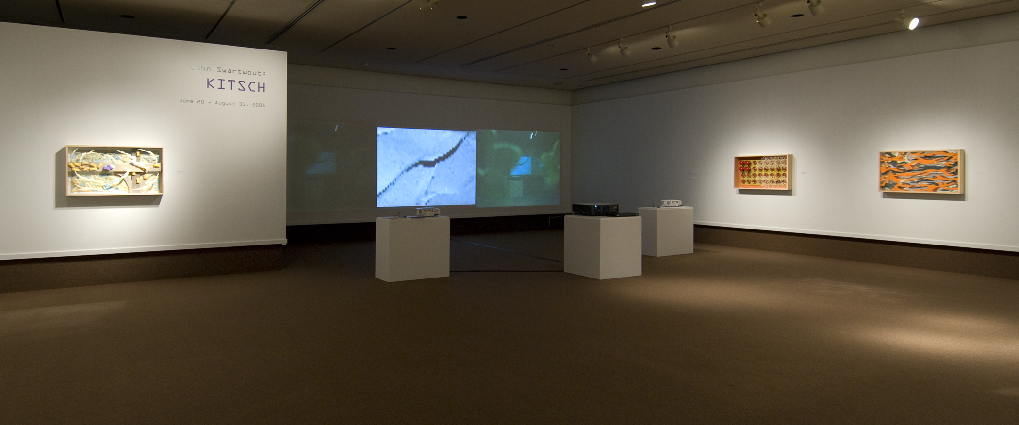 John Swartwout-TBAshow view1.jpg