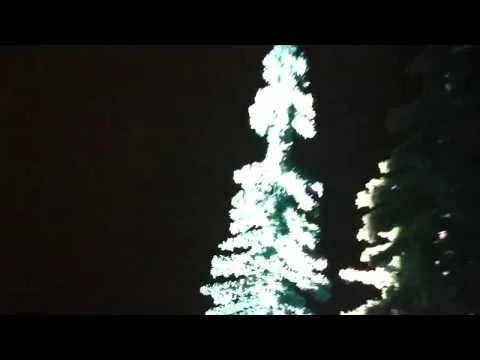 Apex Dream