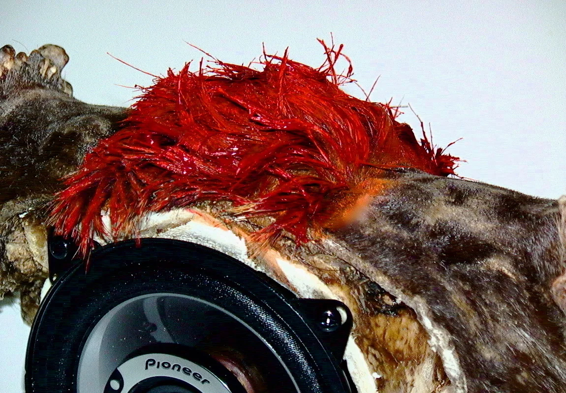 Punk du Nort (detail)