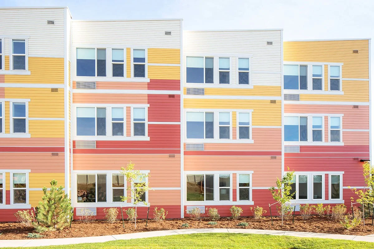 Sometimes the Back is Beautiful, Too