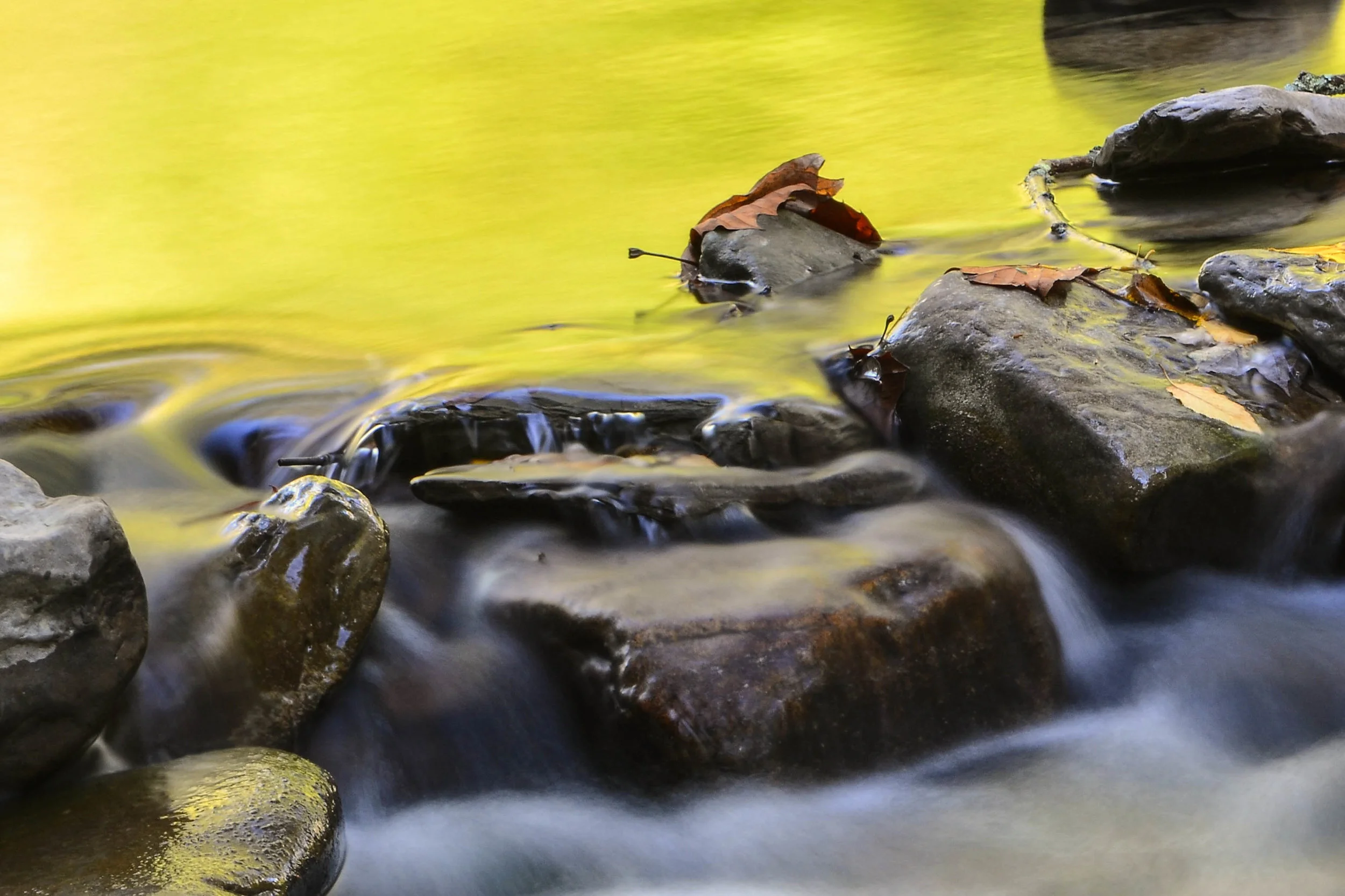 Water Like Honey