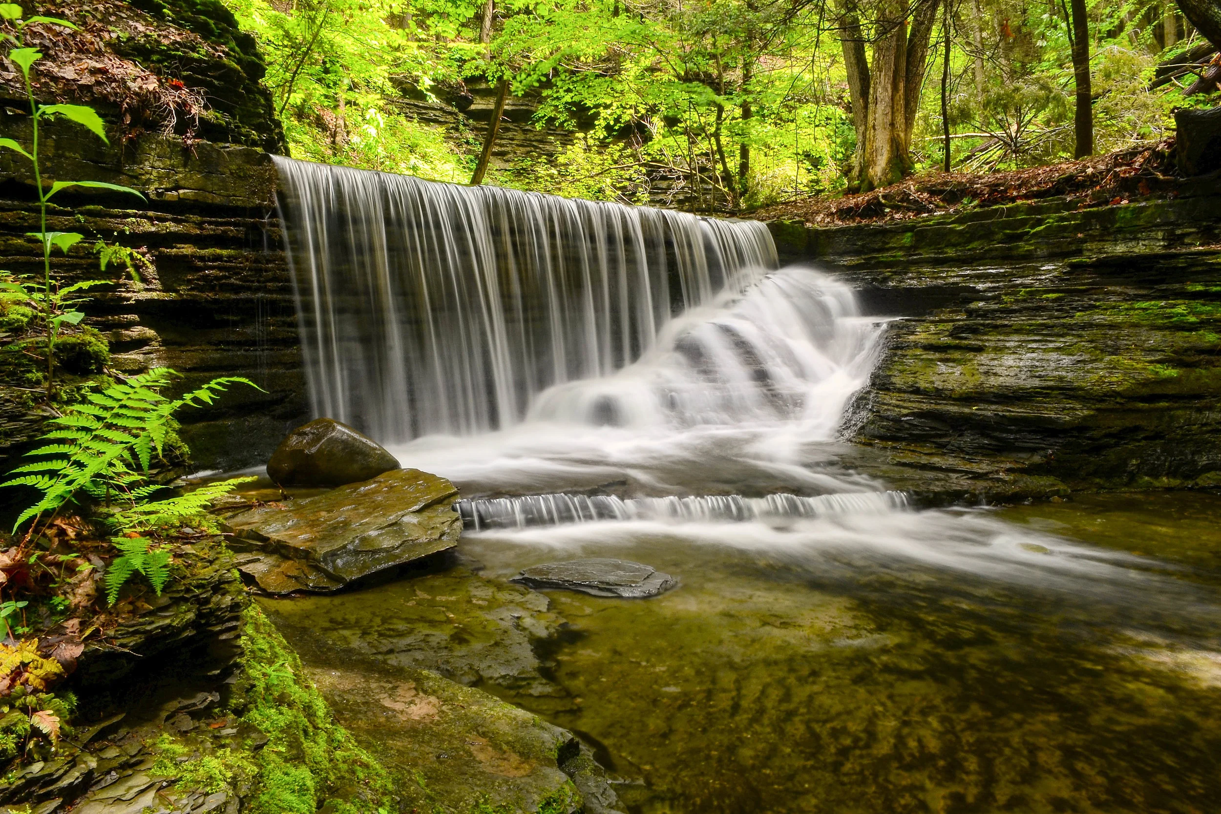 Midsummer Lick Brook Wall