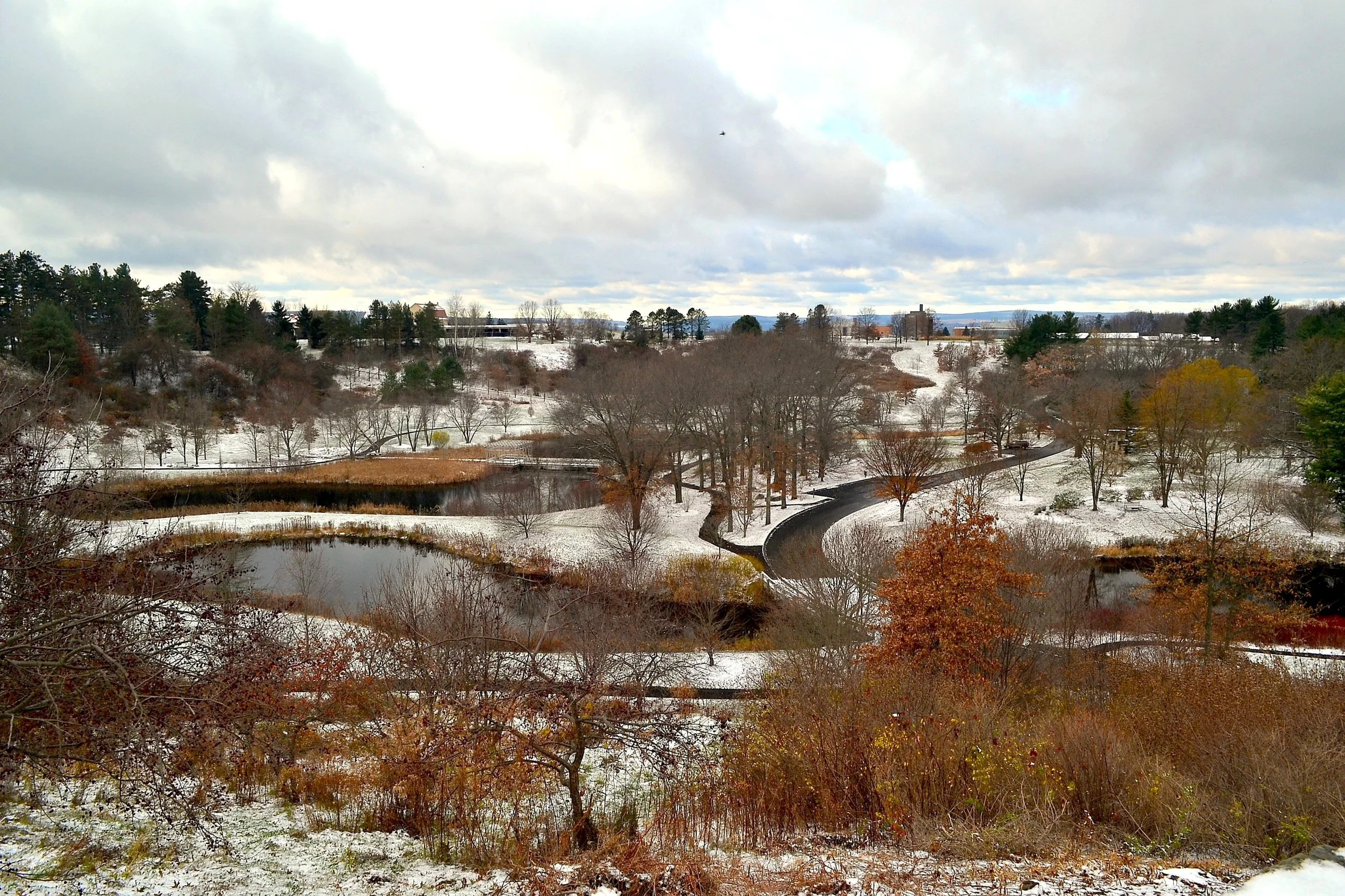 Arboretum Overlook