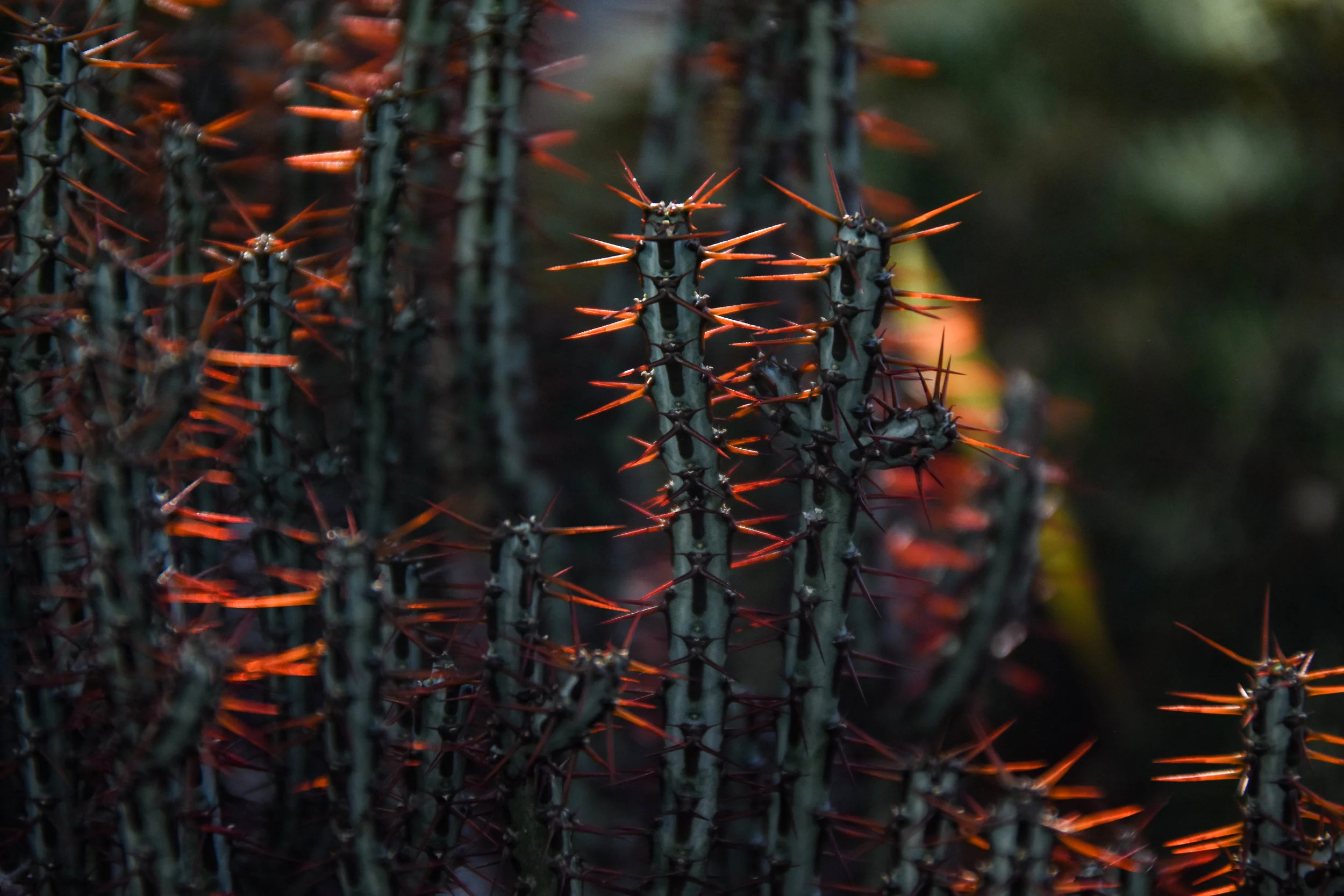 Spiky