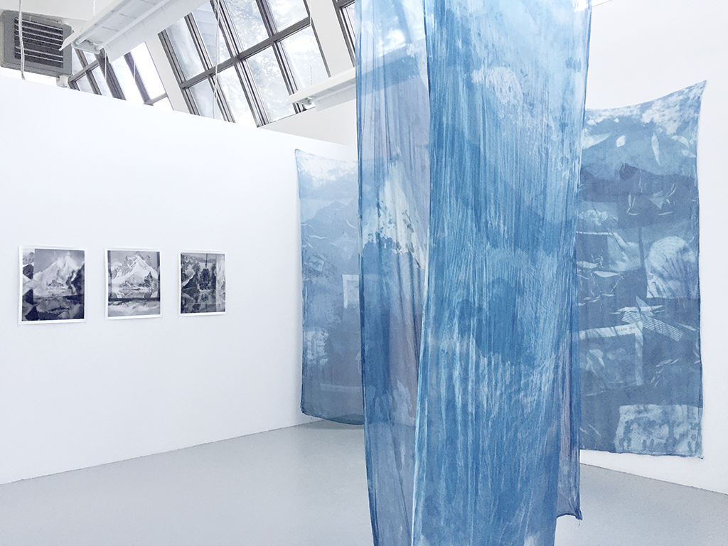 Elise Rasmussen, Did You Know Blue Had No Name, Cyanotypes & Silver Gelatin Prints, 2018