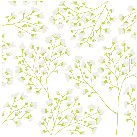 Screen Shot 2018-09-29 at 1.42.40 PM.png