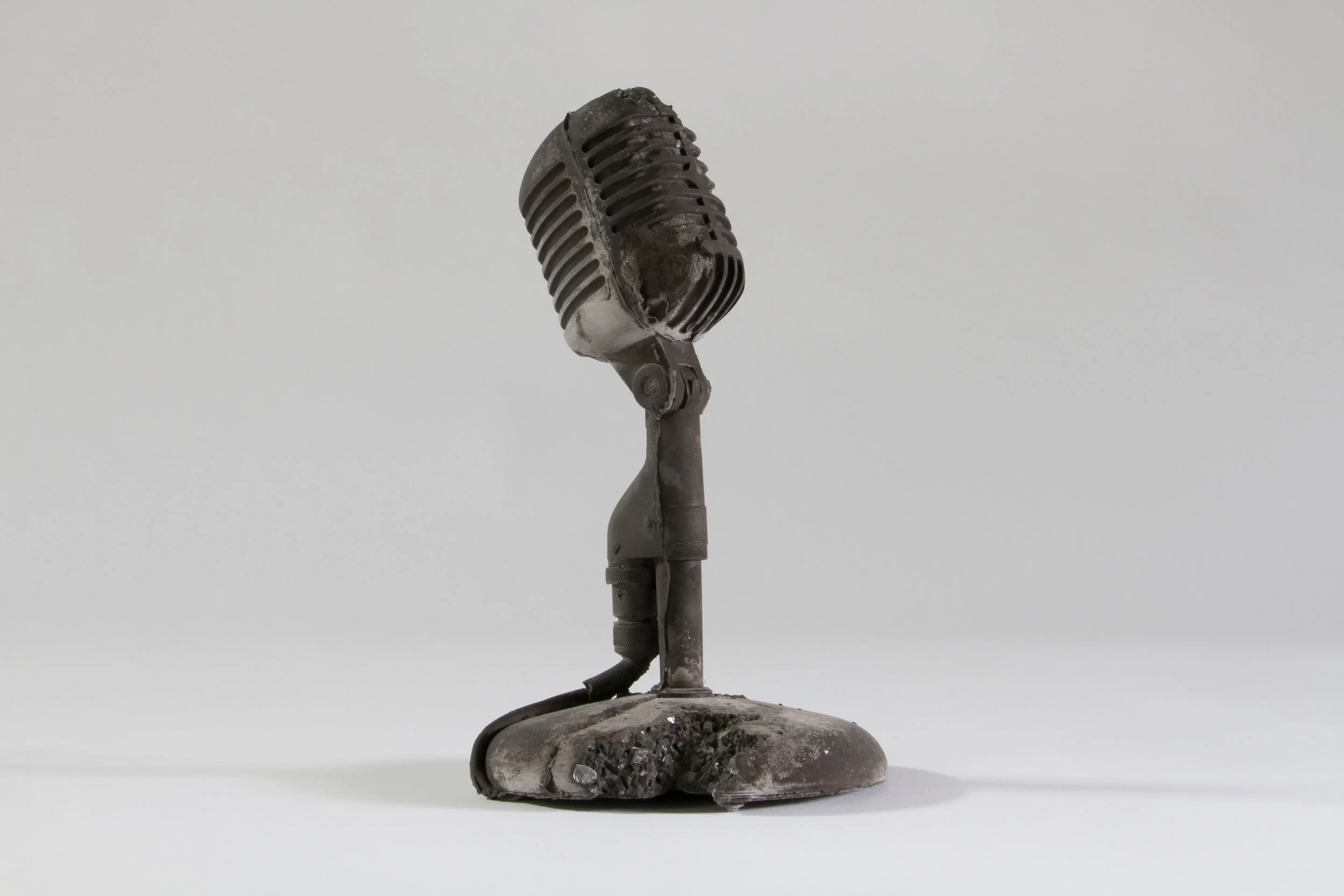 Microphone _ Selenite
