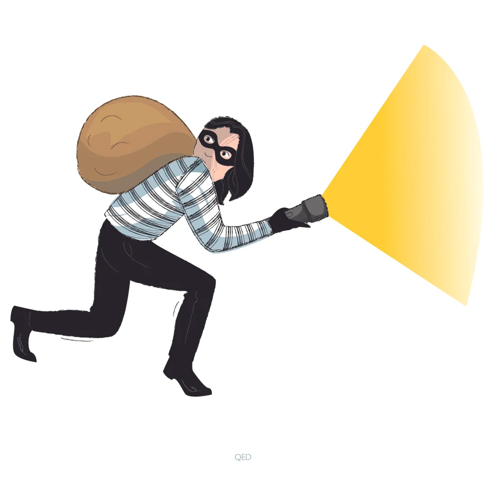 thief2500.jpg