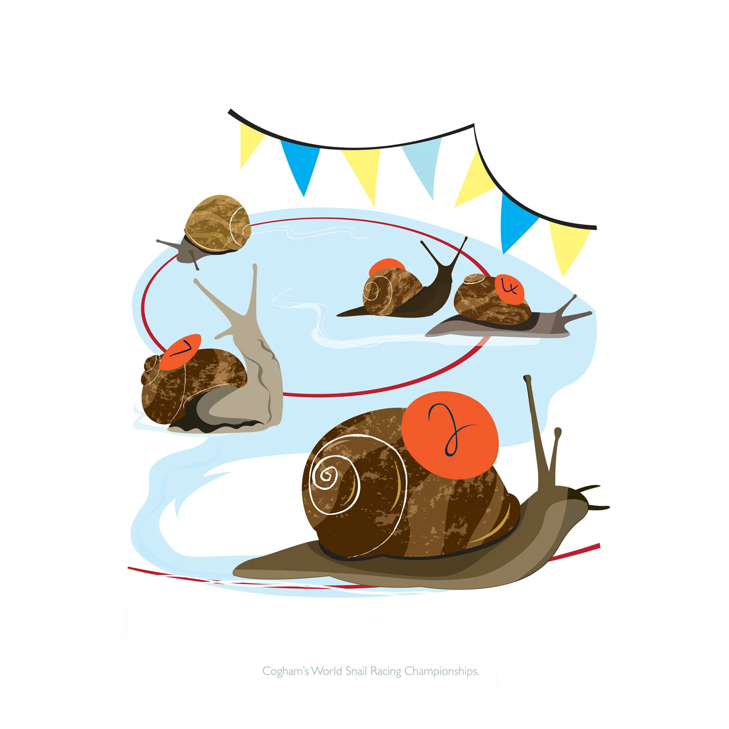 Snail 2500.jpg