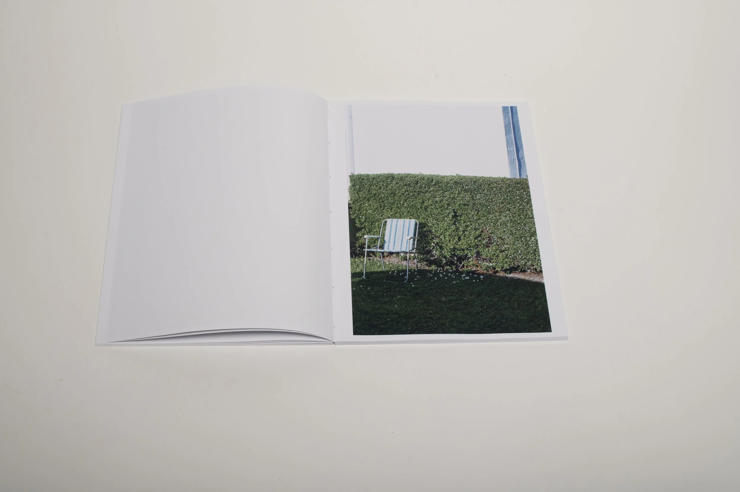 DSC_0382 copy.jpg
