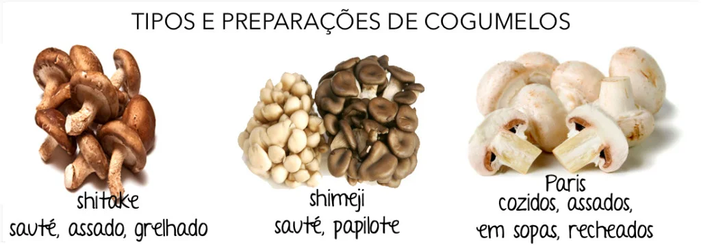 cogumesos.jpg