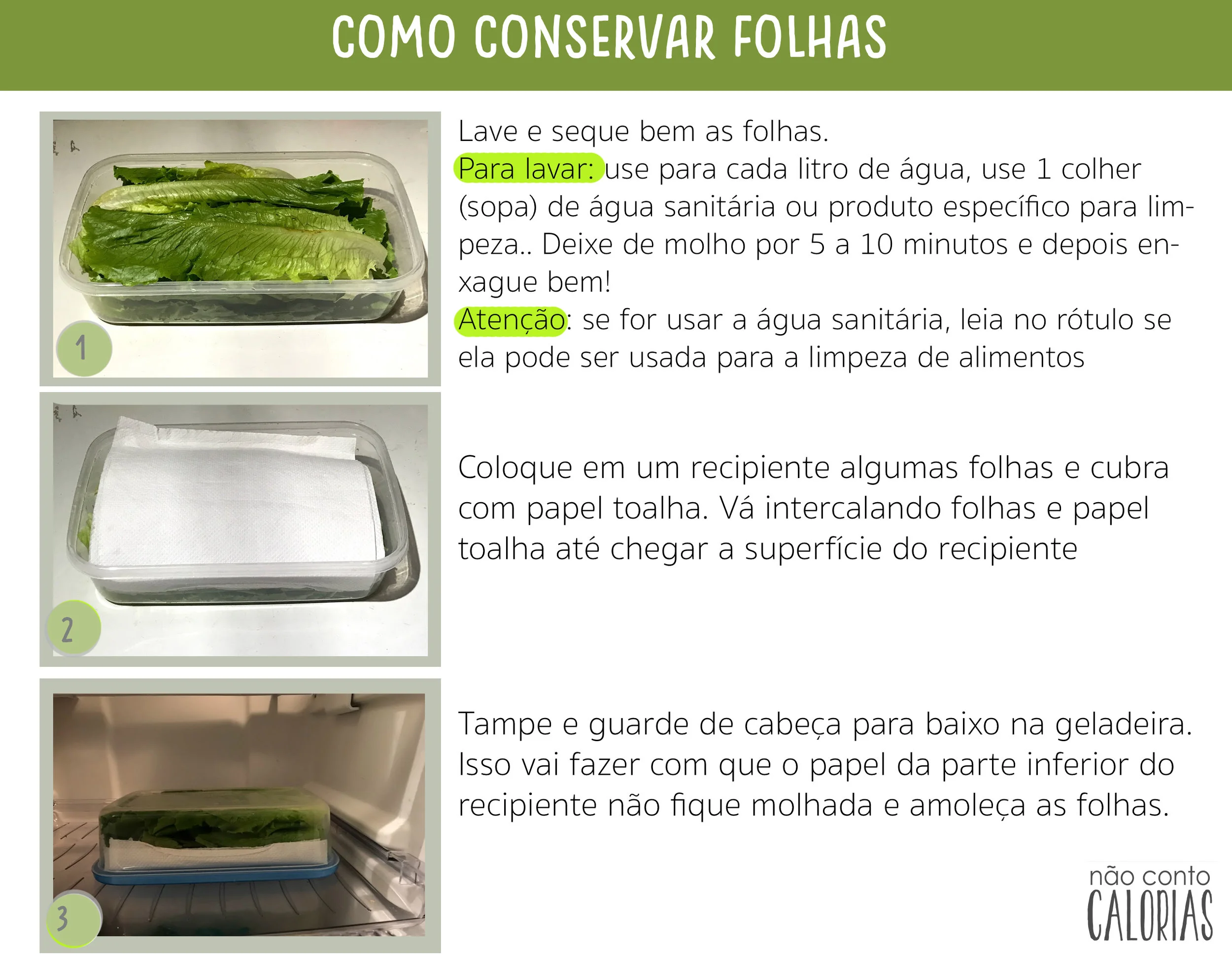 conservarfolhas.jpg