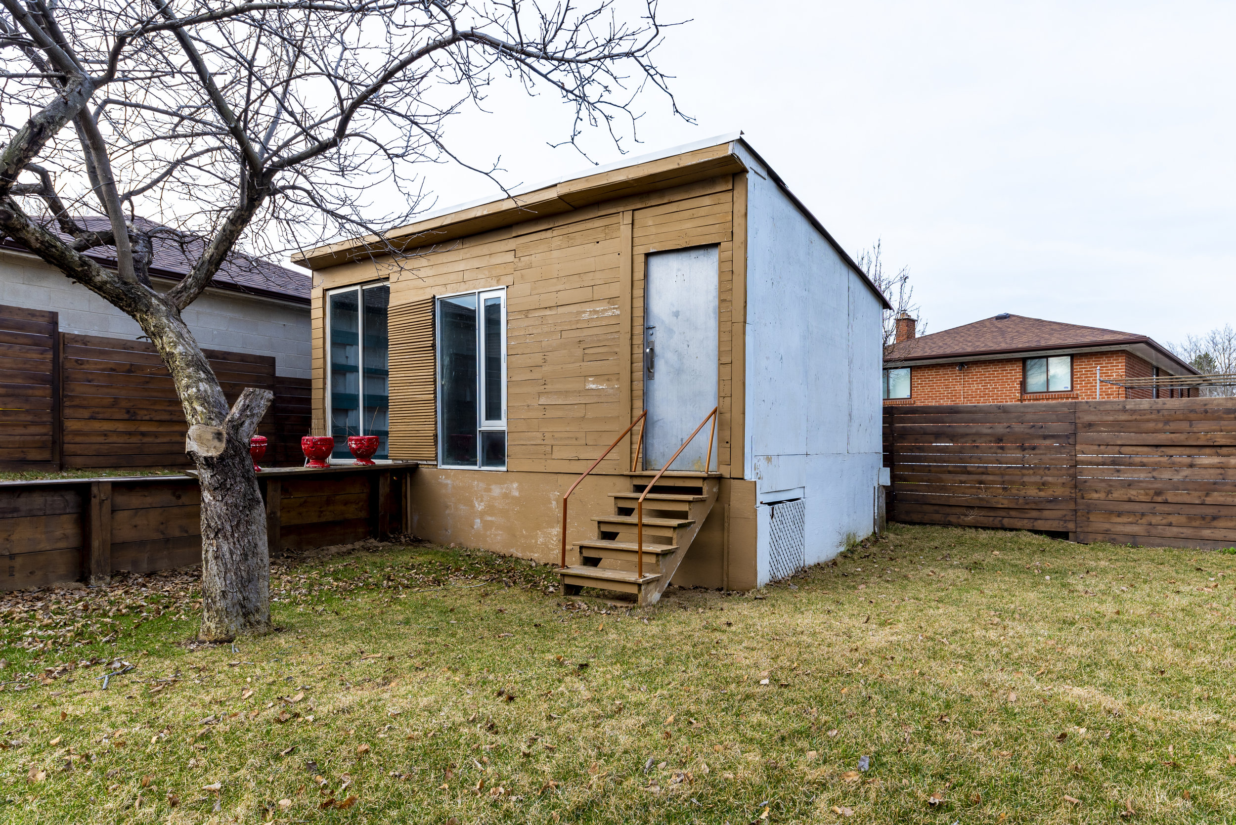 Backyard_9.JPG