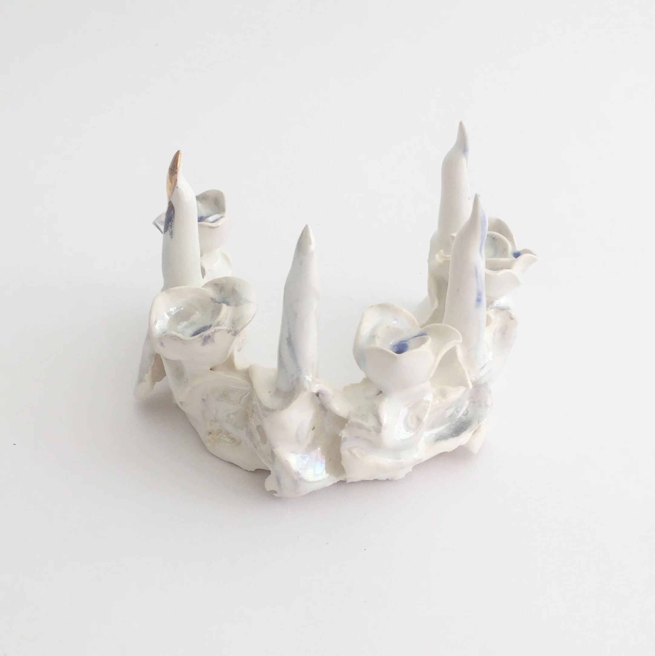 White_Finger_Crown.jpg
