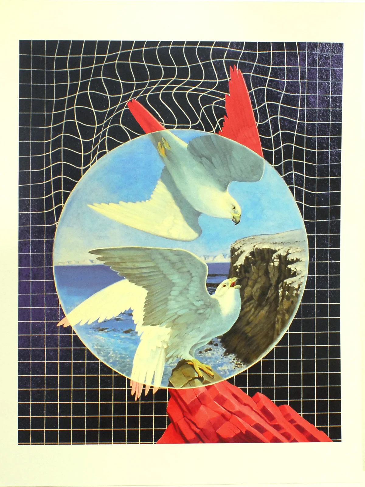 Gyr Falcons Print.jpg