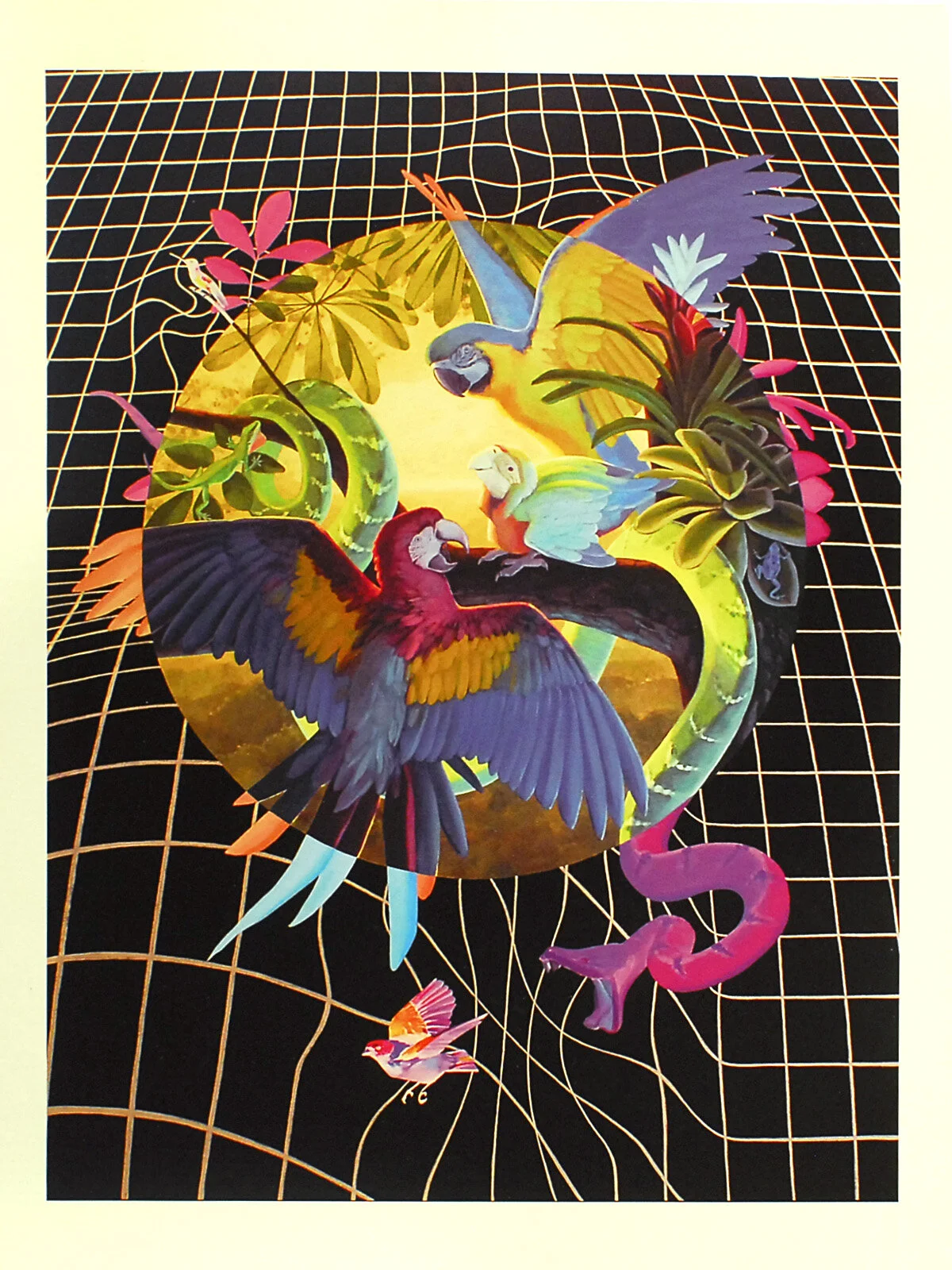 The Canopy Print.jpg